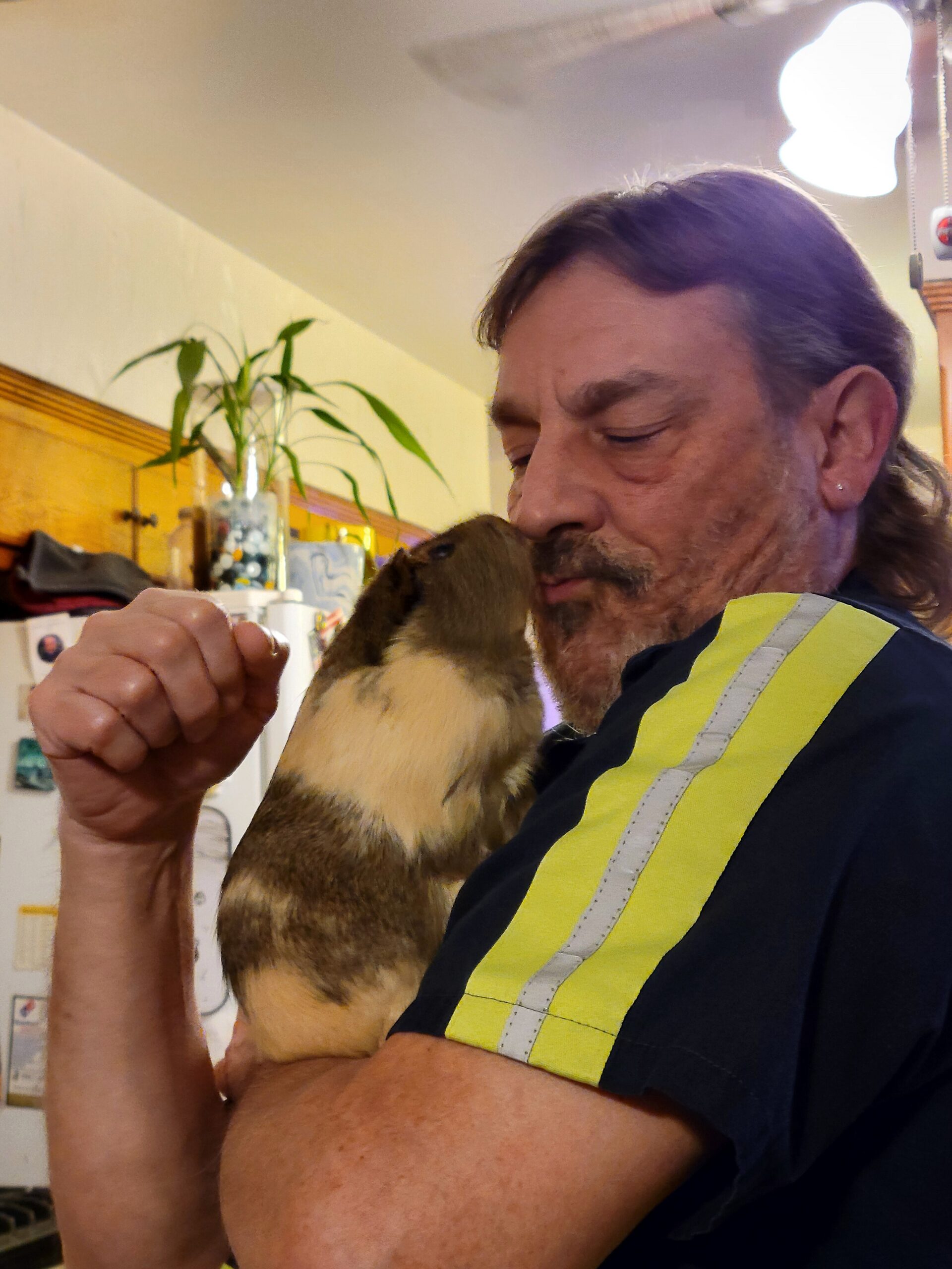 Man in a reflective yellow safety vest cuddles a brown dog indoors, eyes closed in a warm hug.