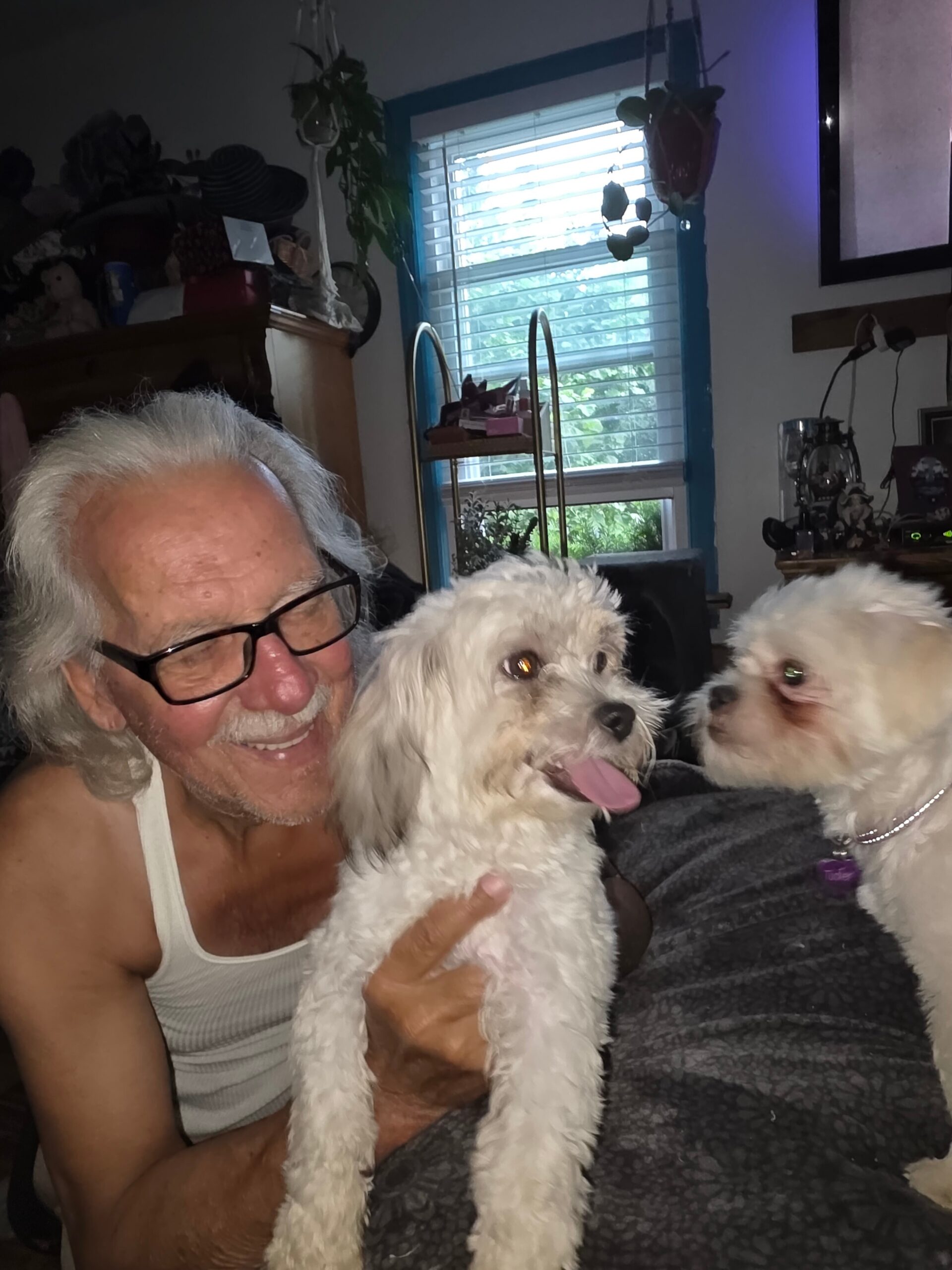 Smiling elderly man wearing glasses holds a fluffy white dog while another fluffy white dog sits nearby on a couch indoors.