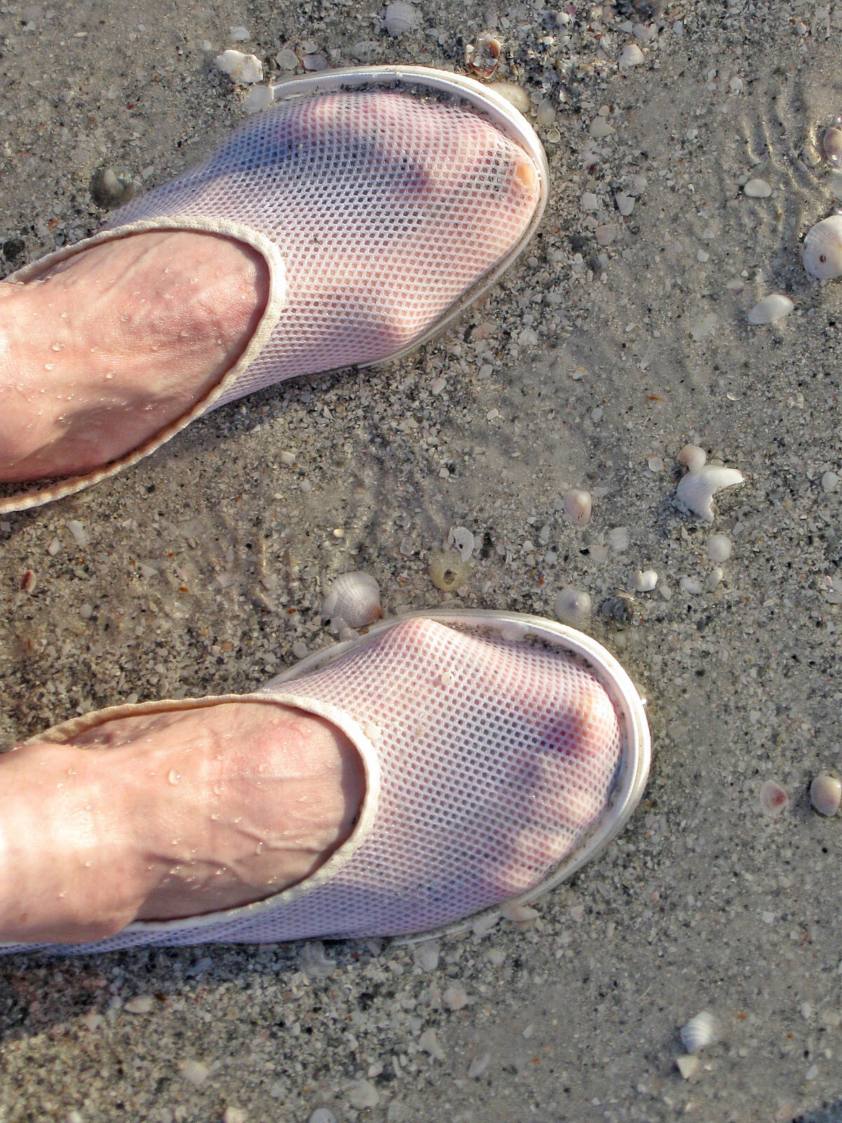 Feet in light pink mesh sneakers standing on sandy beach with small shells scattered around