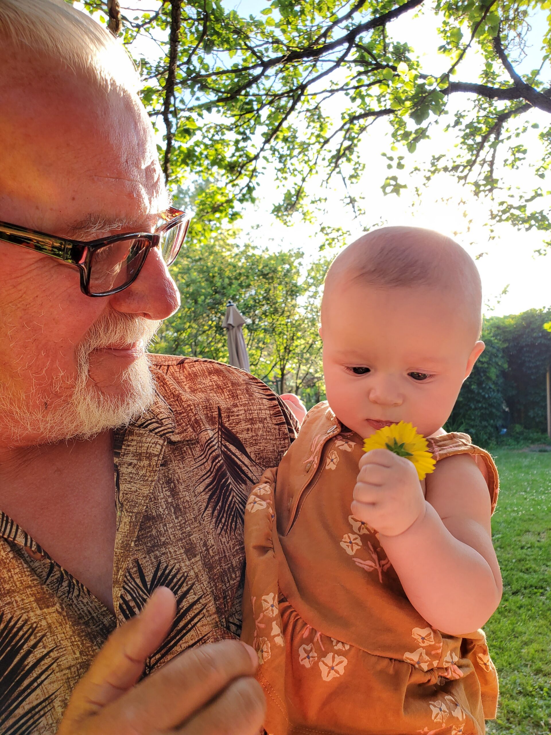 Older man wearing sunglasses holding a baby outdoors, sunlight filtering through green leaves above.