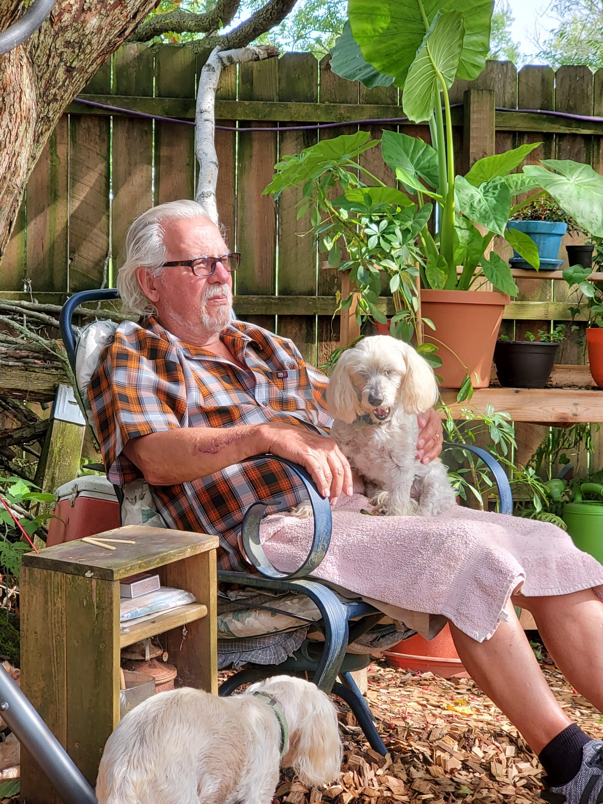 Older man with glasses sits in a patio chair in a sunny backyard, a small white dog on his lap.