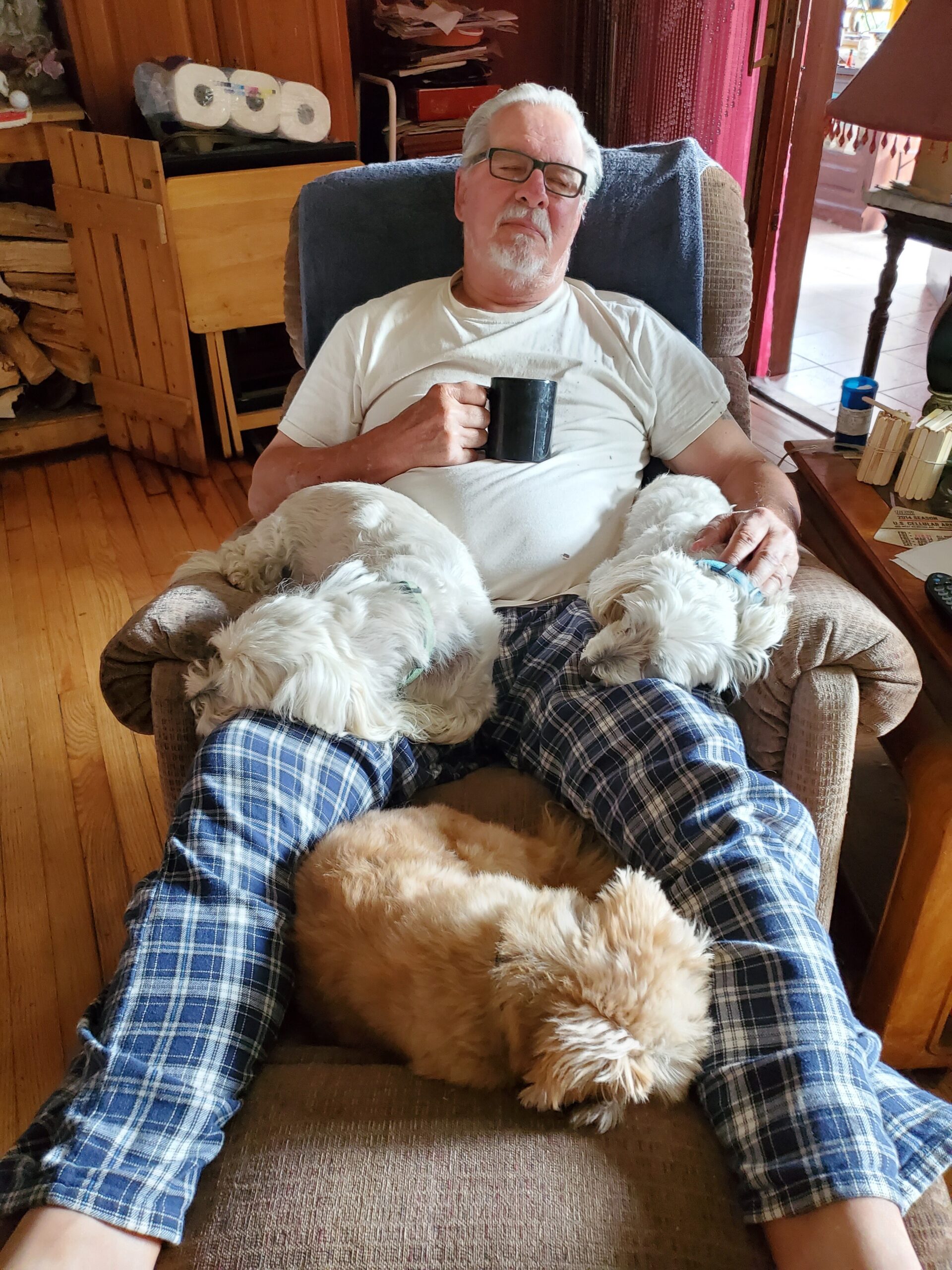 Older man with glasses sits in a recliner, holding a black mug, with two fluffy white dogs on his lap in a cozy room.