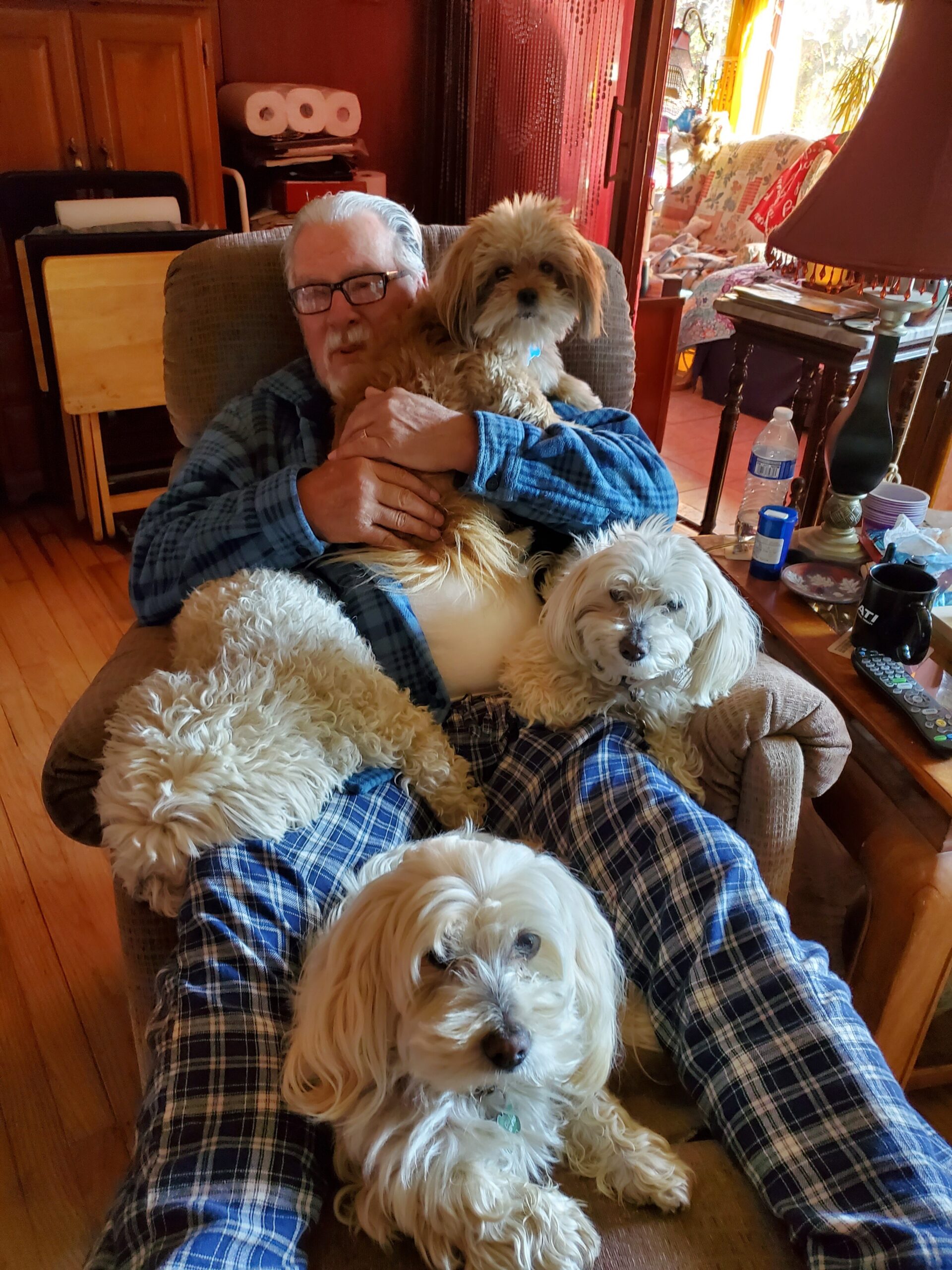 Elderly man with glasses sits in a chair, cuddling a fluffy tan dog while several other dogs lie nearby in a cozy living room.
