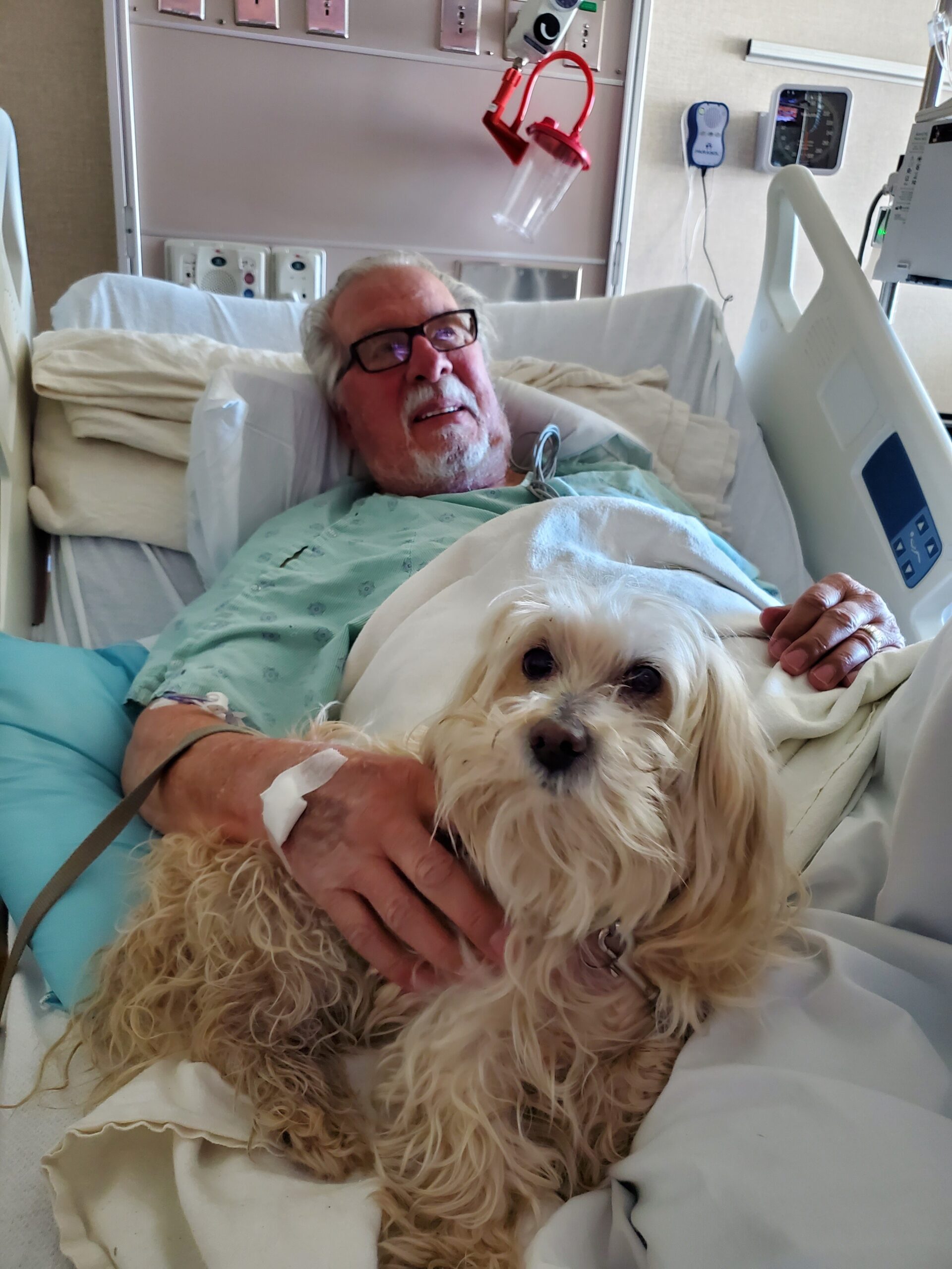 Older man with glasses resting in hospital bed, cuddling a small fluffy dog under a blanket, medical equipment visible nearby