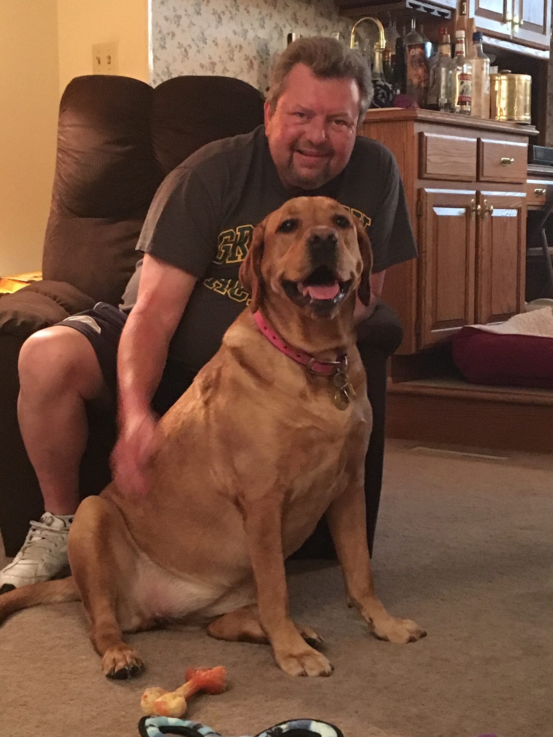 Smiling man sits behind a large tan dog wearing a pink collar in a cozy living room, with toys on the carpet nearby.