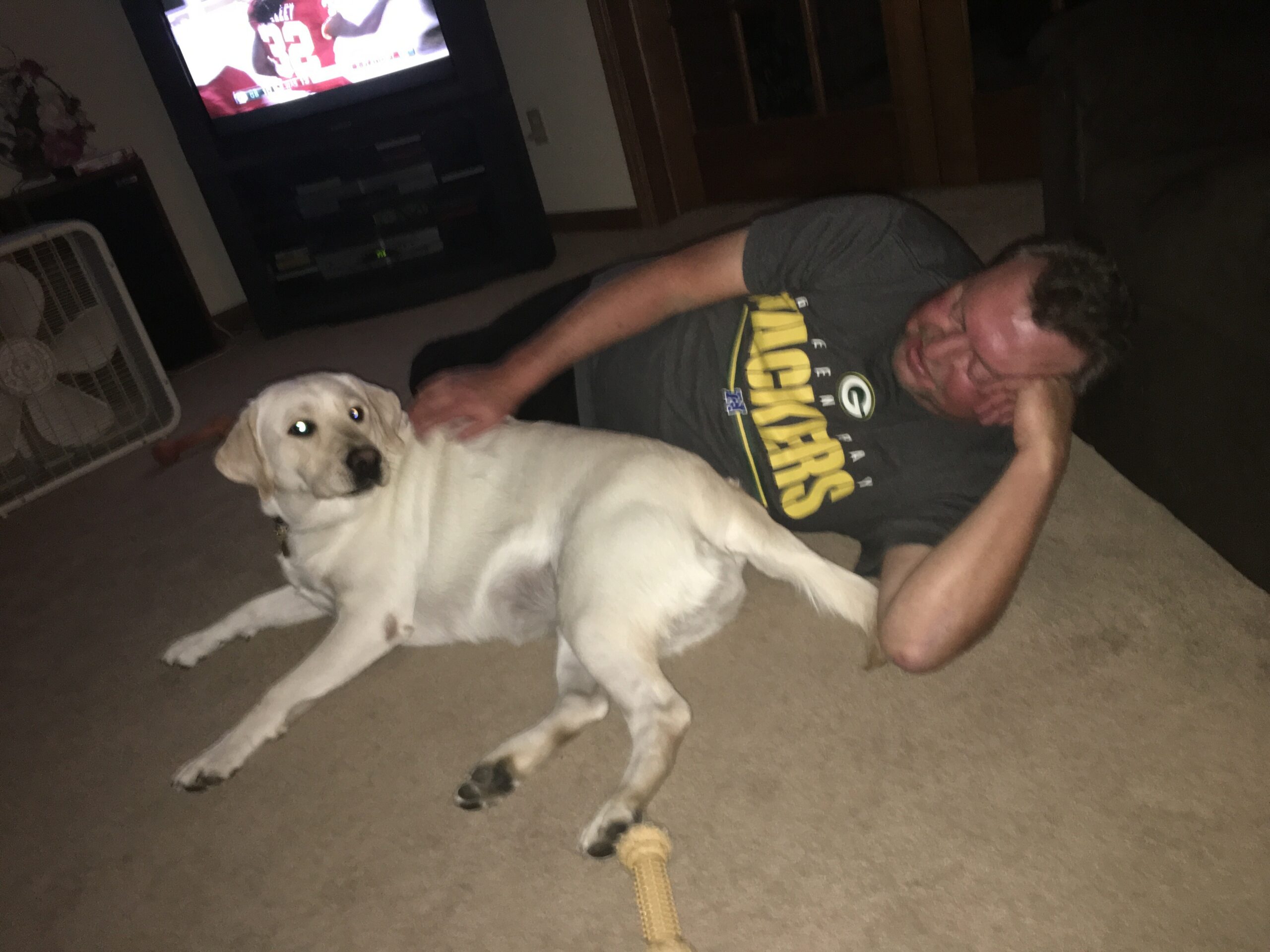 Man lying on the living room floor playing tug with a white dog and a rope toy on the carpet.