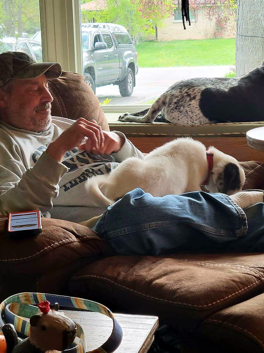 Older man in a cap relaxing on a brown couch with a white dog on his lap; a black-and-white dog rests on the window sill behind them.
