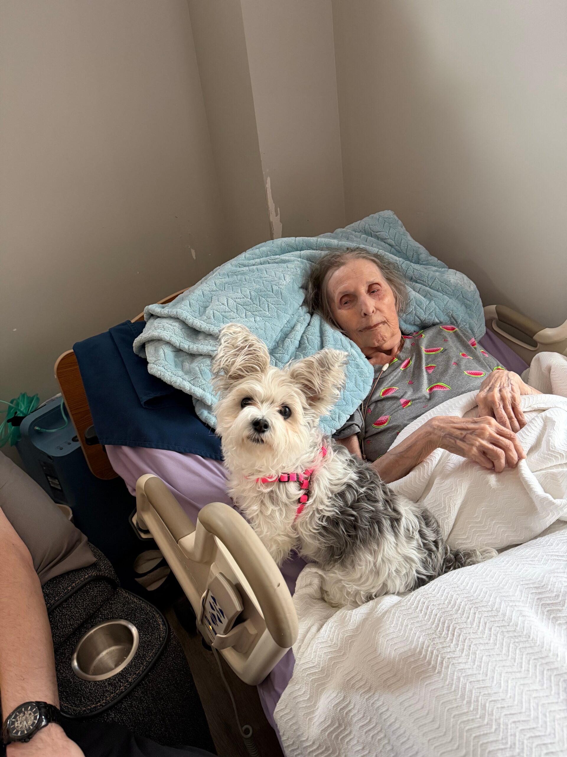 Elderly woman resting in a hospital bed with a soft blue blanket, a small white dog sitting at her side.