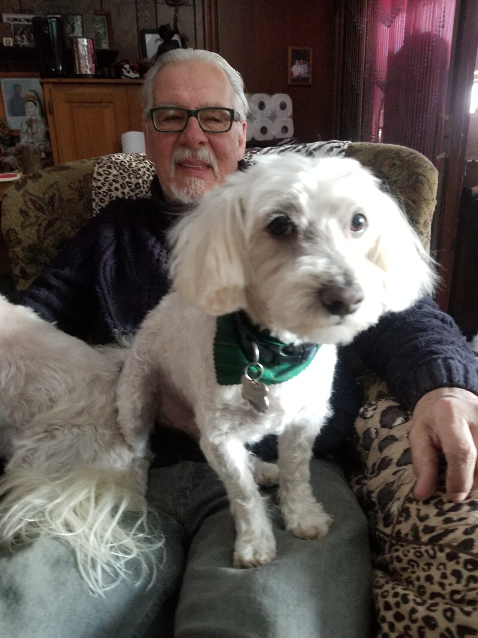 Older man with glasses sits on a couch smiling as a white fluffy dog sits close in front of him, wearing a green collar.