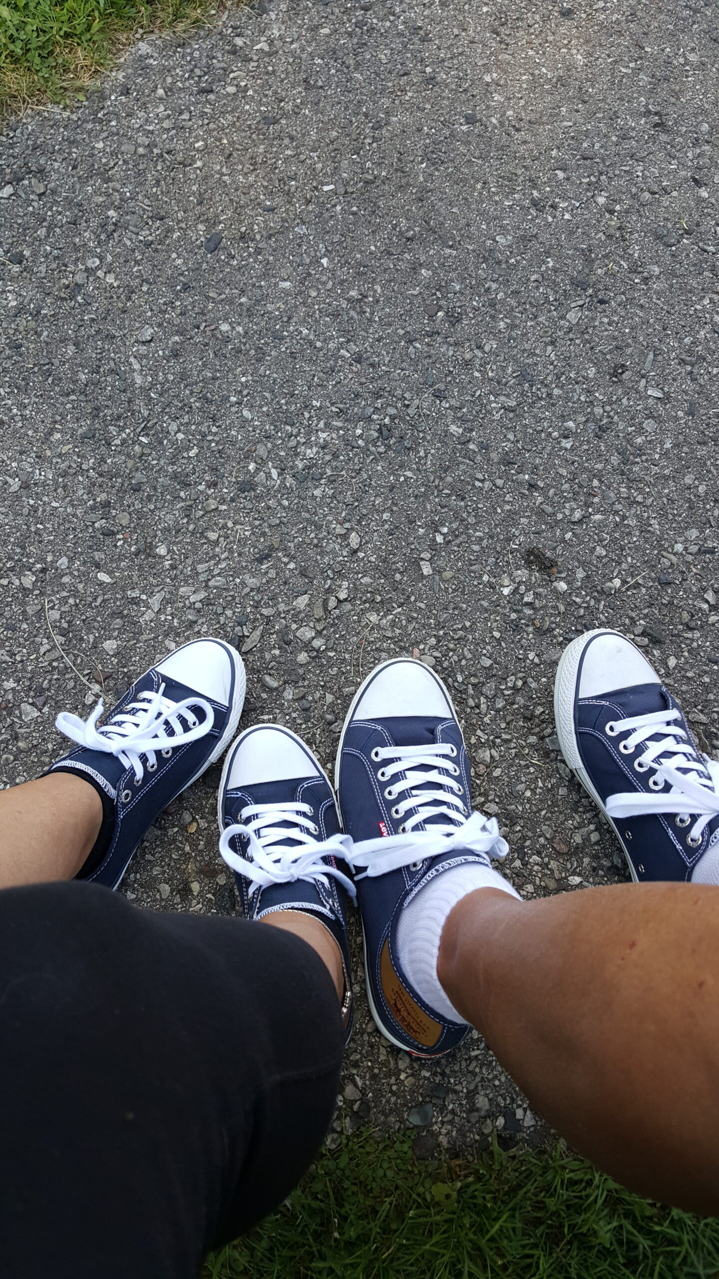 Top-down view of three pairs of navy blue sneakers with white laces standing on a gravel path, grass at the edges.