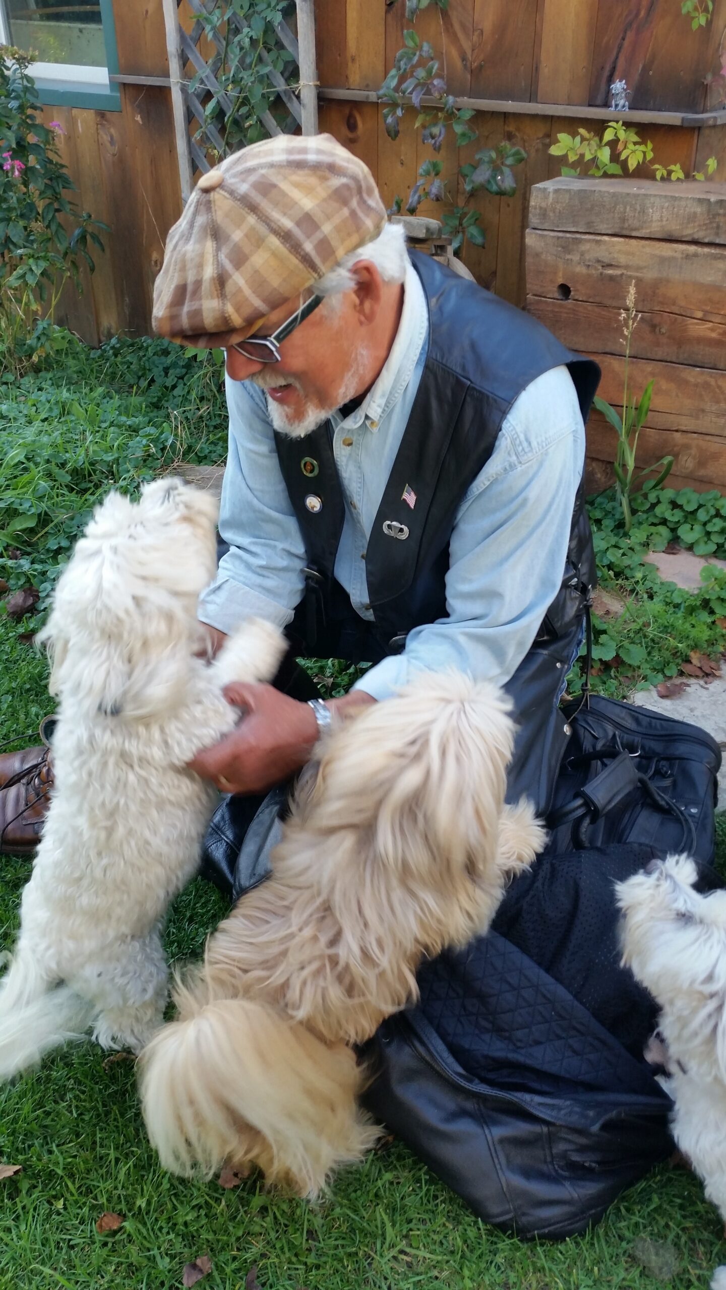 Older man in a plaid cap and sunglasses sits on the grass, surrounded by fluffy white dogs in a garden.