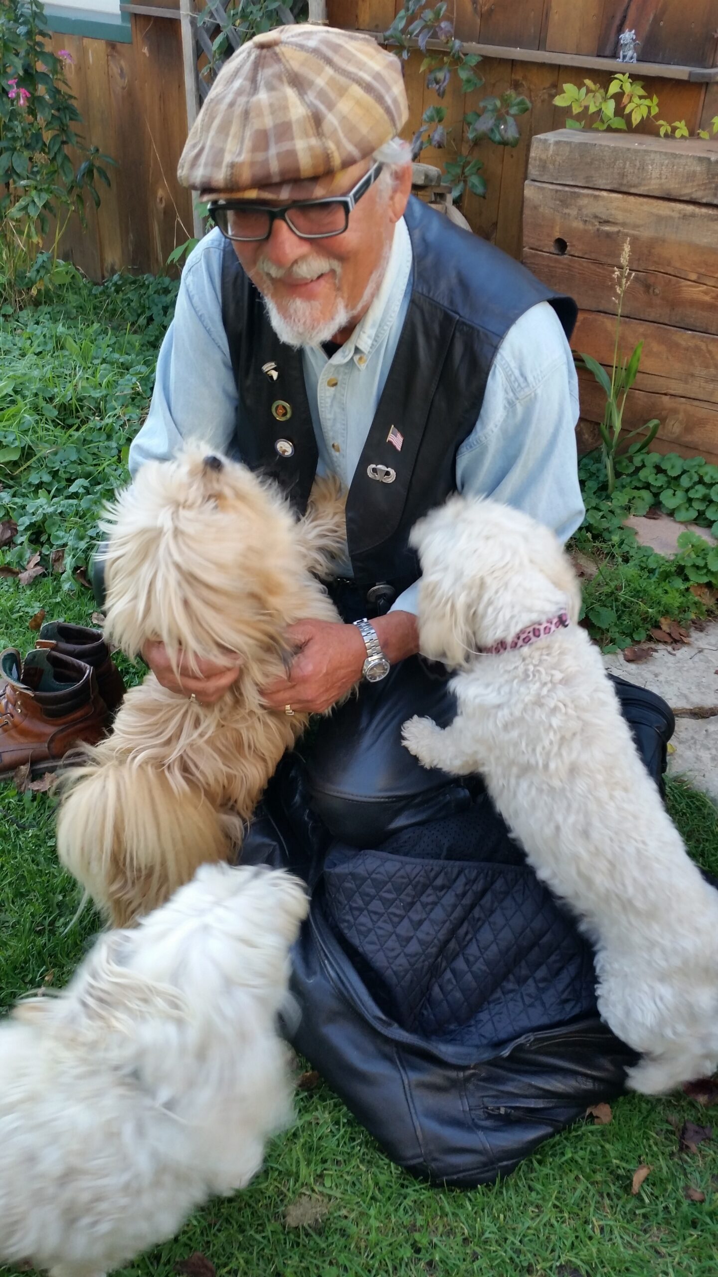 Older man with glasses and a plaid cap sits on the grass in a backyard, wearing a denim shirt and black leather vest, smiling as two fluffy white dogs nuzzle him.