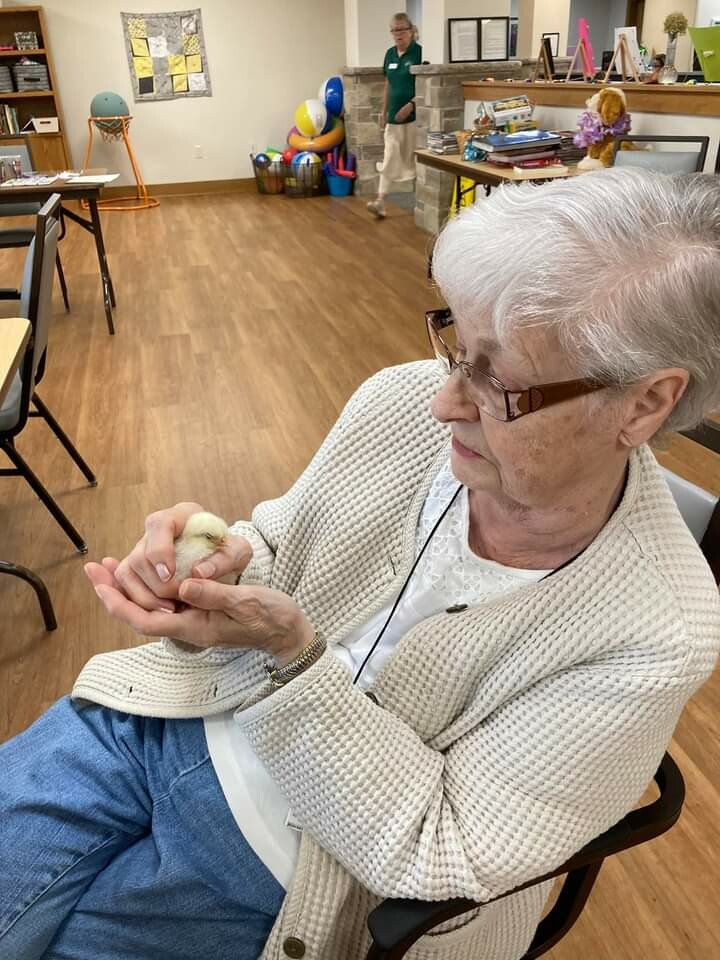 An elderly woman in a white cardigan sits in a room, gently holding a small chick in her hands, smiling softly.