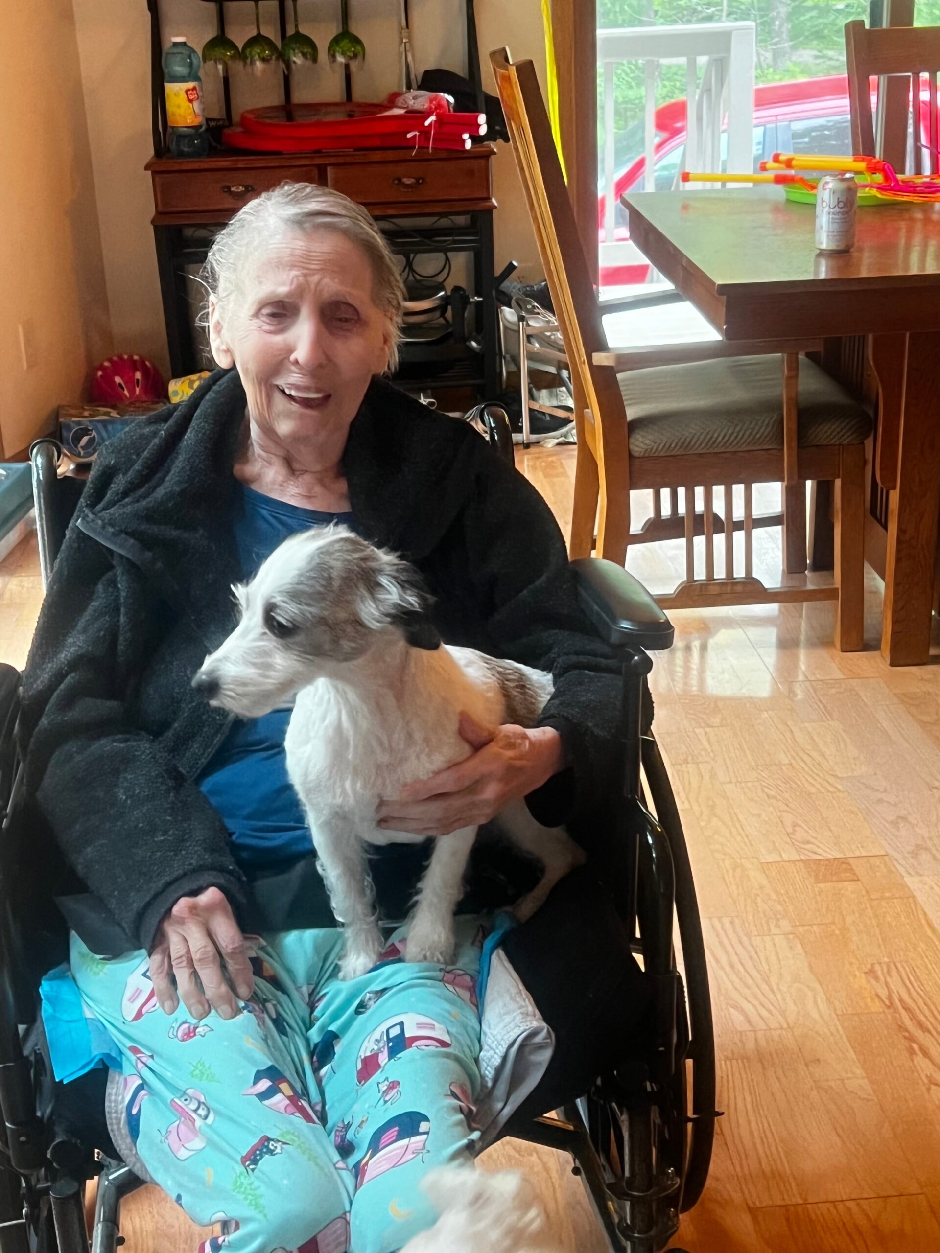 Smiling elderly woman in a wheelchair holding a small white dog on her lap in a bright dining area with a wooden table behind her.