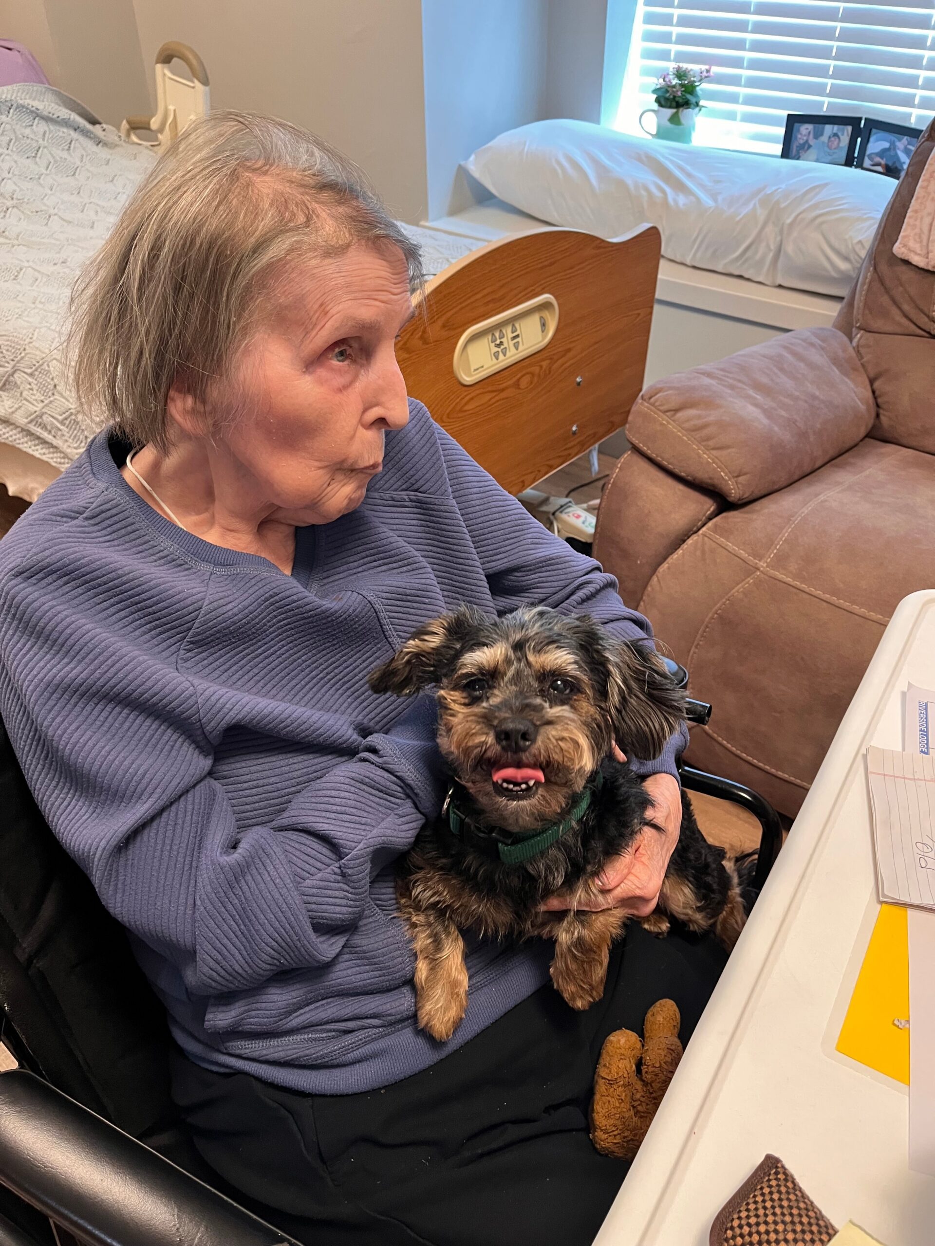 Older woman with gray hair in a blue knit sweater sits in a wheelchair, holding a small brown and black terrier mix dog on her lap in a bedroom scene.
