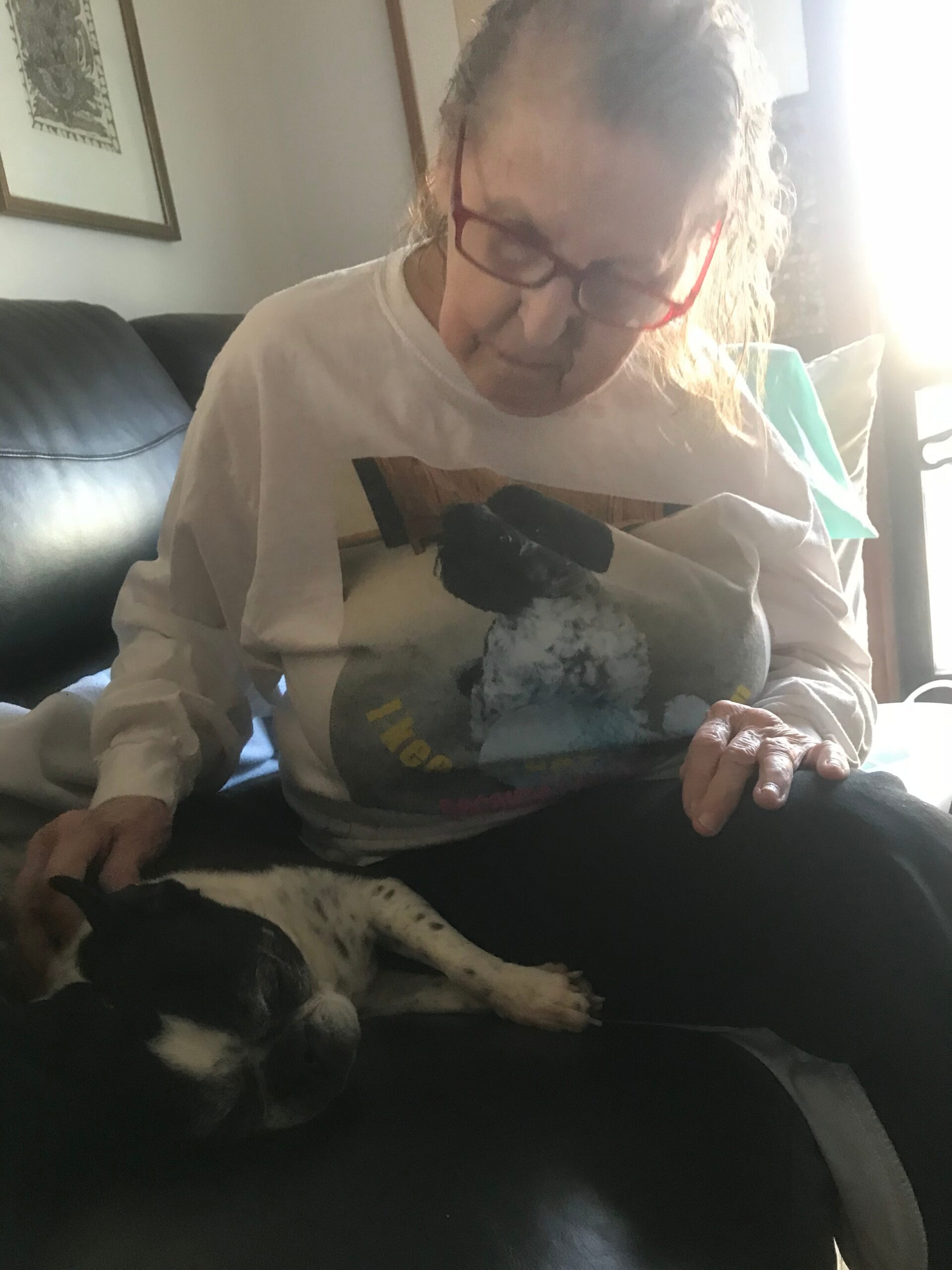 Elderly woman with red glasses sits on a dark couch, looking down at a black-and-white dog resting on her lap as sunlight comes from a window behind her.