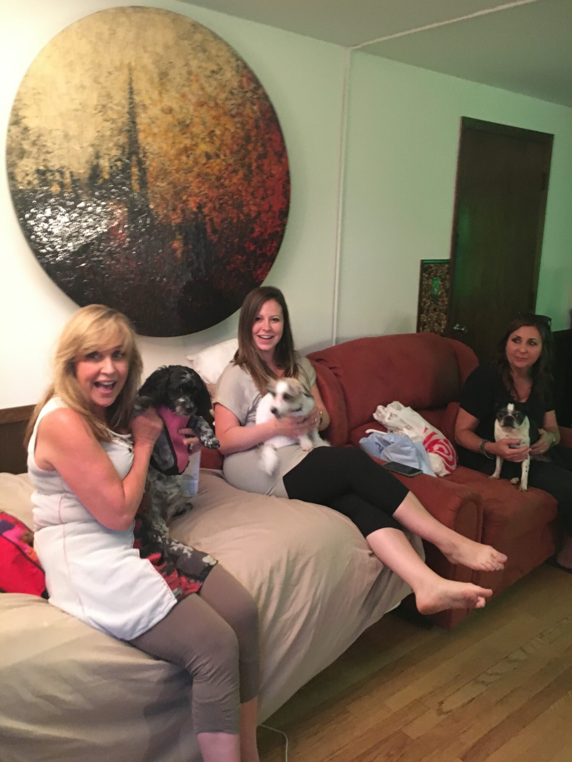 Group of women sitting on a sofa indoors, each holding small dogs and smiling.
