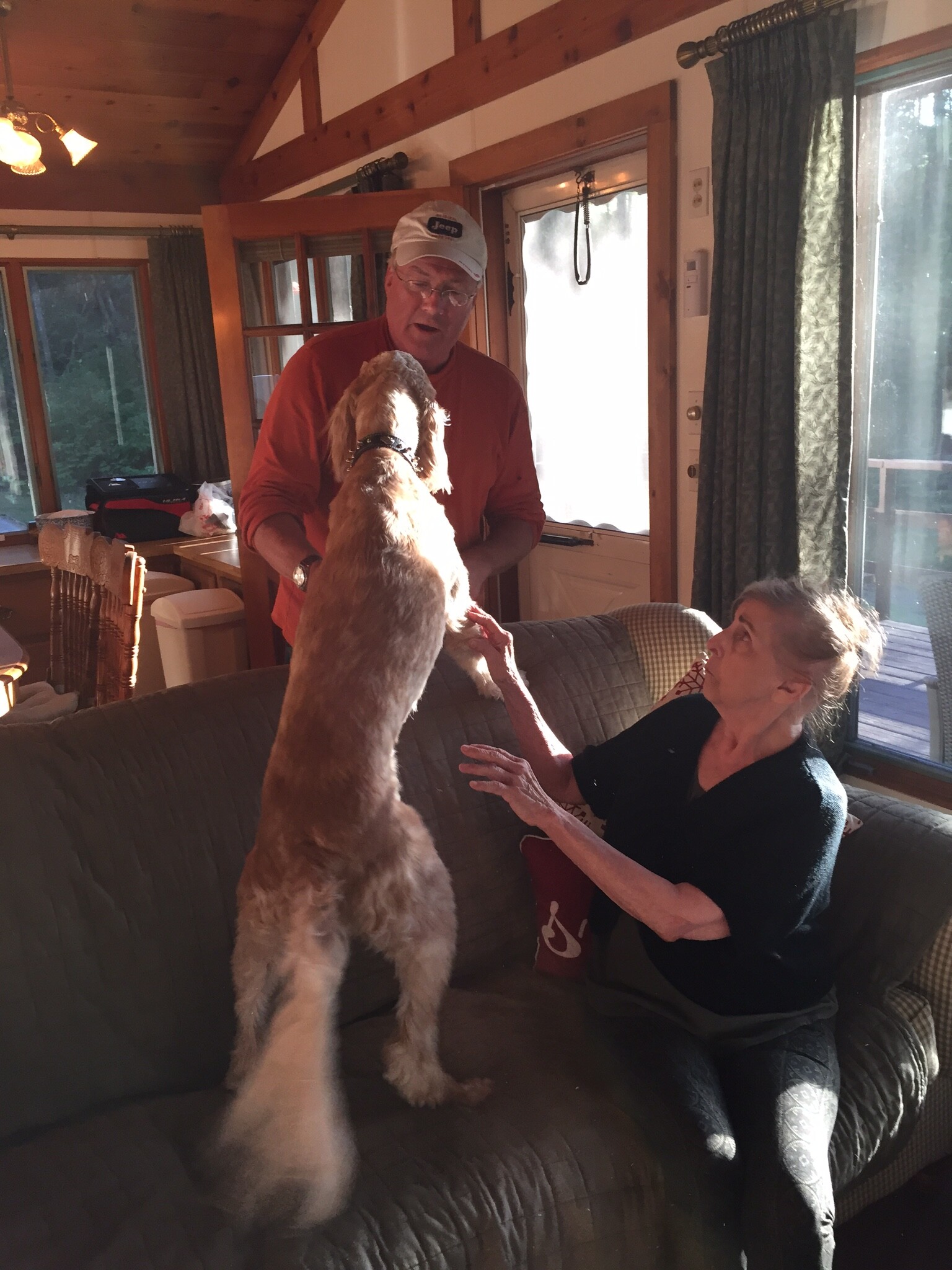 A man in an orange shirt and white cap interacts with a tall dog standing on a sofa while a woman watches nearby in a cozy living room.