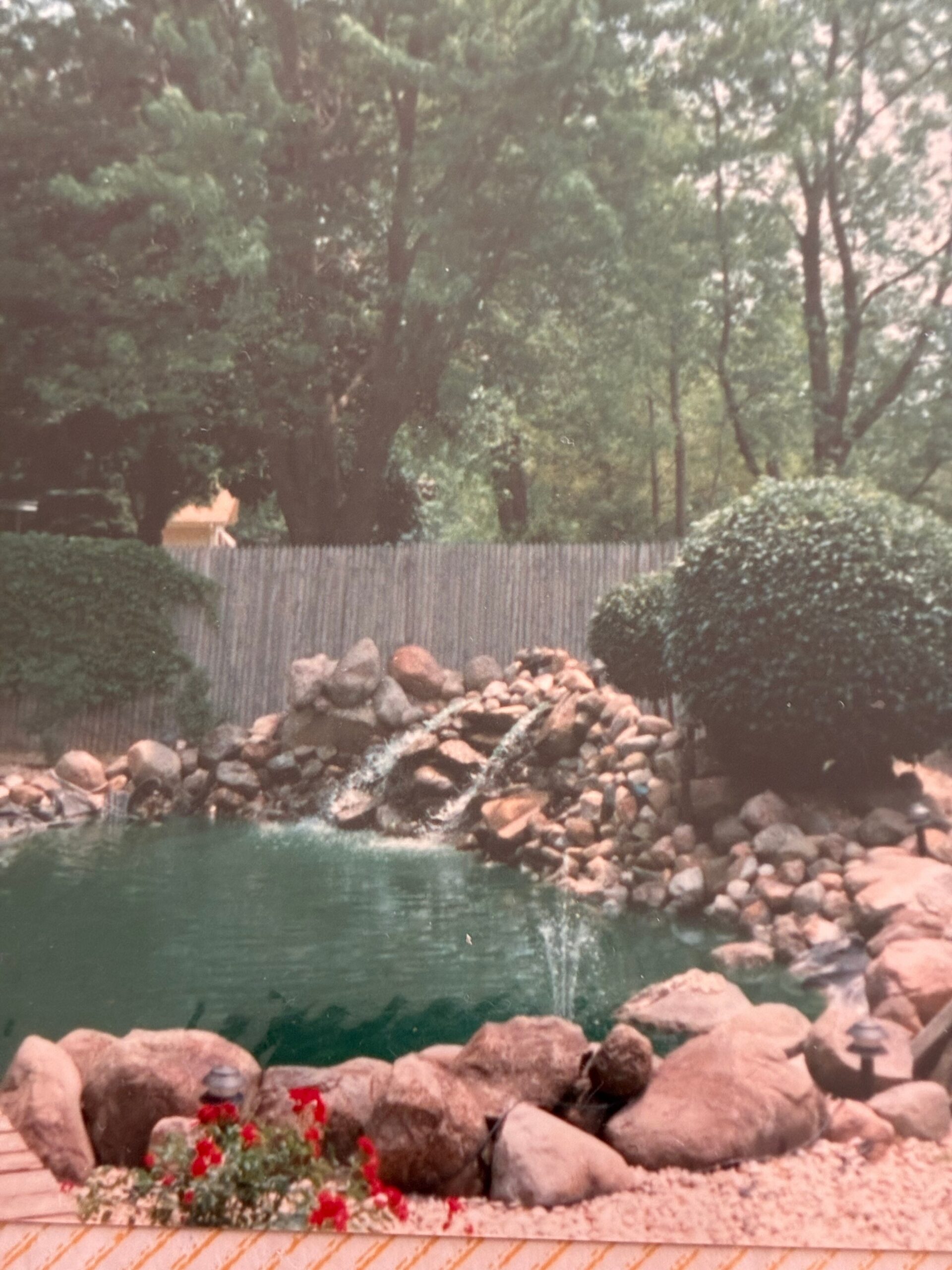 Rock-lined backyard water feature with a small pool, stacked stones, and a wooden fence behind lush trees; red flowers in the foreground.