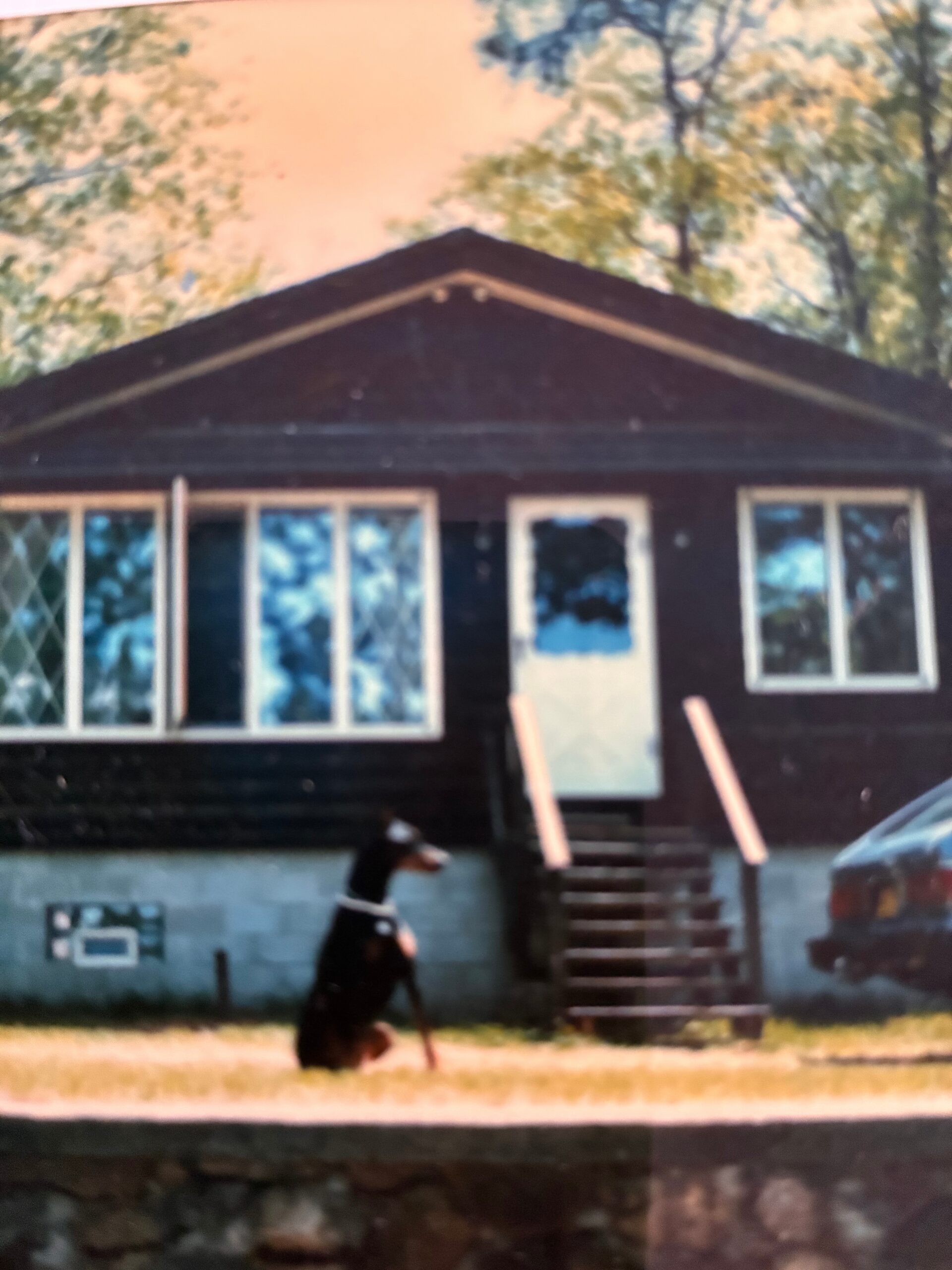 Front view of a dark brown house with a peaked roof, white-framed windows, and a central door with steps