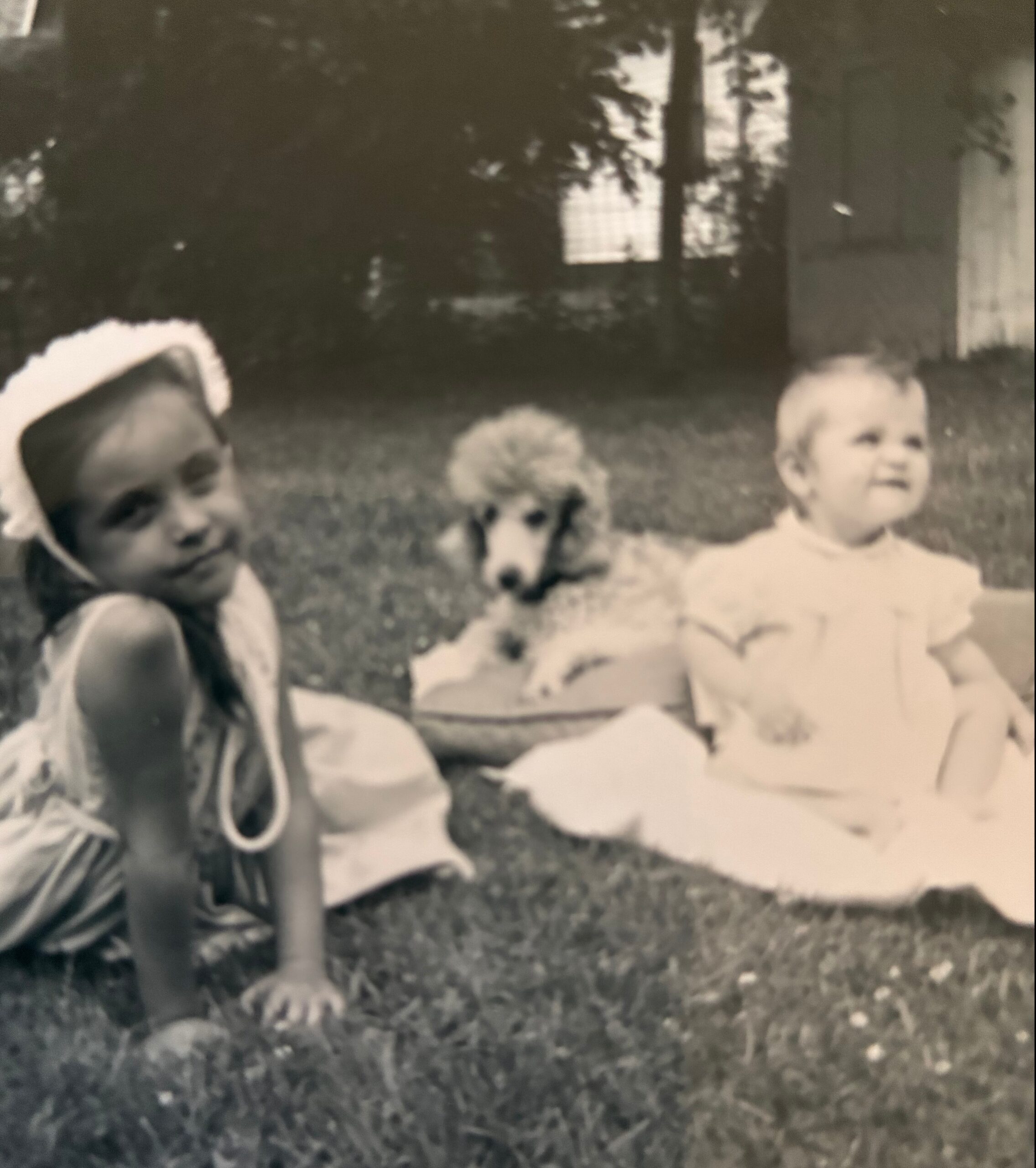 Two young children sitting on a grassy lawn with a small dog between them, blurred house in the background.