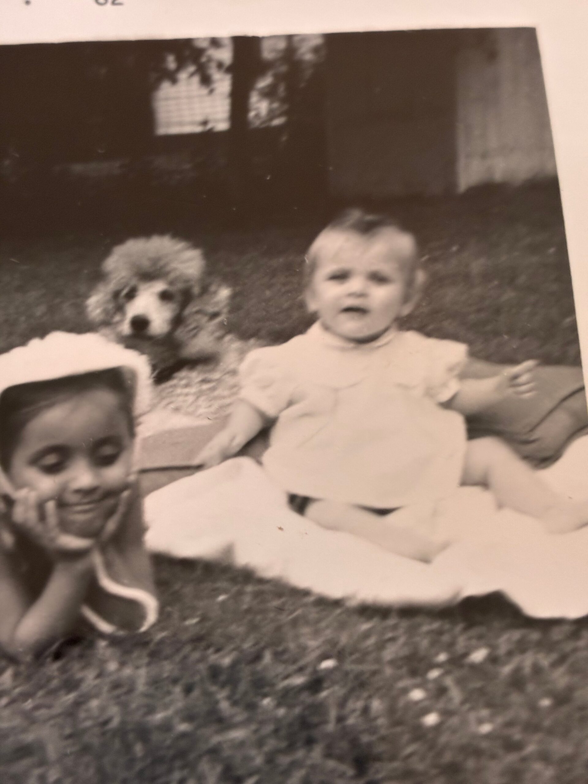 Black-and-white photo of a baby in a light dress sitting on the grass beside a fluffy dog; another child partially visible on the left.