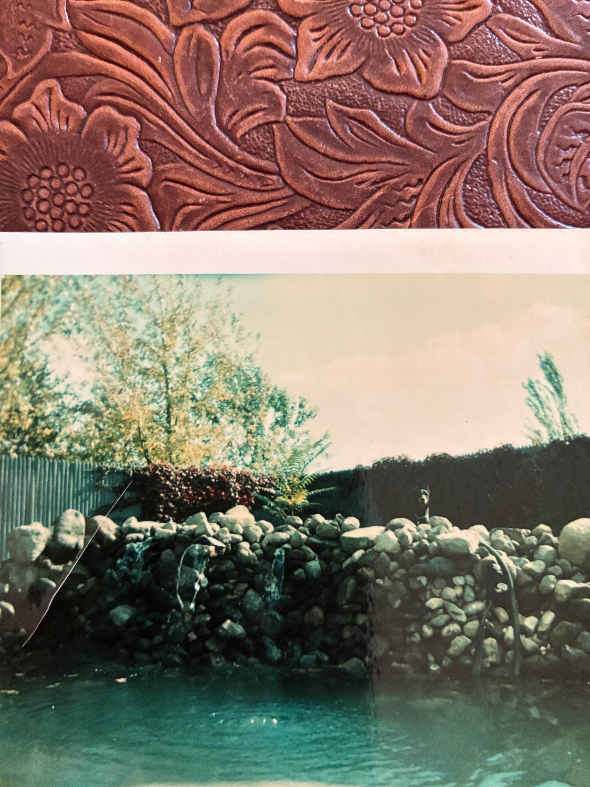 Brown embossed floral leather texture across the top, with a white divider, then a rocky garden with a turquoise pond below.