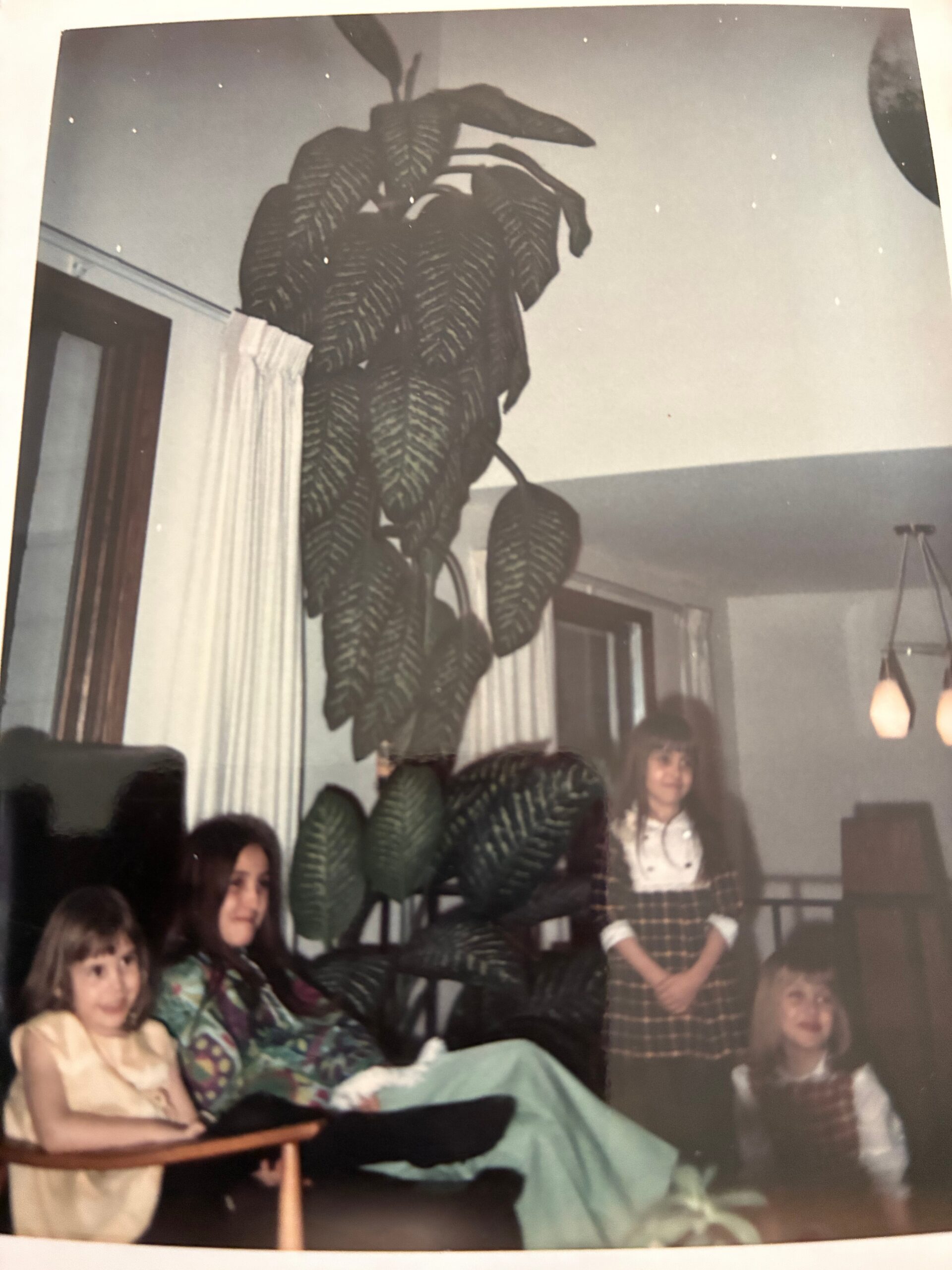 Tall tropical houseplant towering over a group of children seated in a living room; a girl in a plaid dress stands in the background.