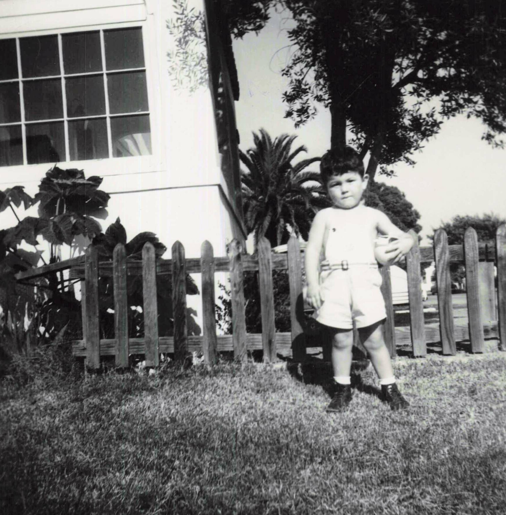 Young child standing by a wooden fence in a yard, with a house window and plants behind him.