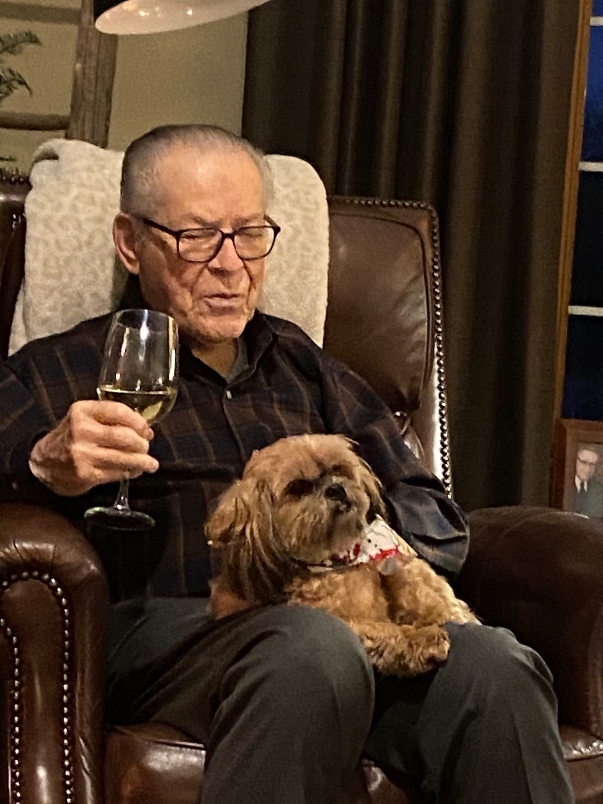 Older man with glasses relaxing in a leather chair, holding a glass of white wine; a small dog sits on his lap in a cozy living room.