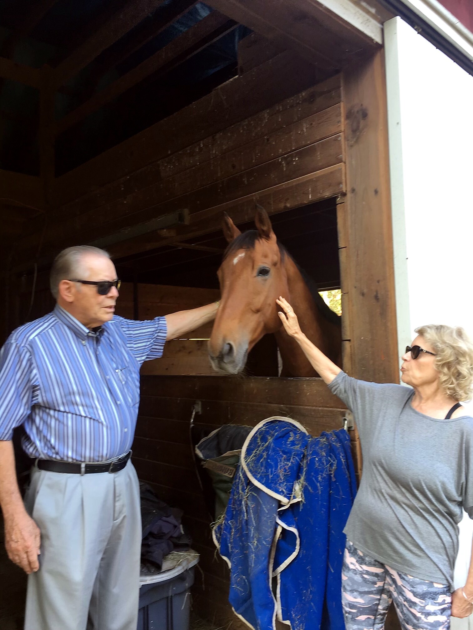 Older man in a striped shirt and sunglasses pats a brown horse inside a wooden stable while a woman reaches to stroke the horse's head nearby.