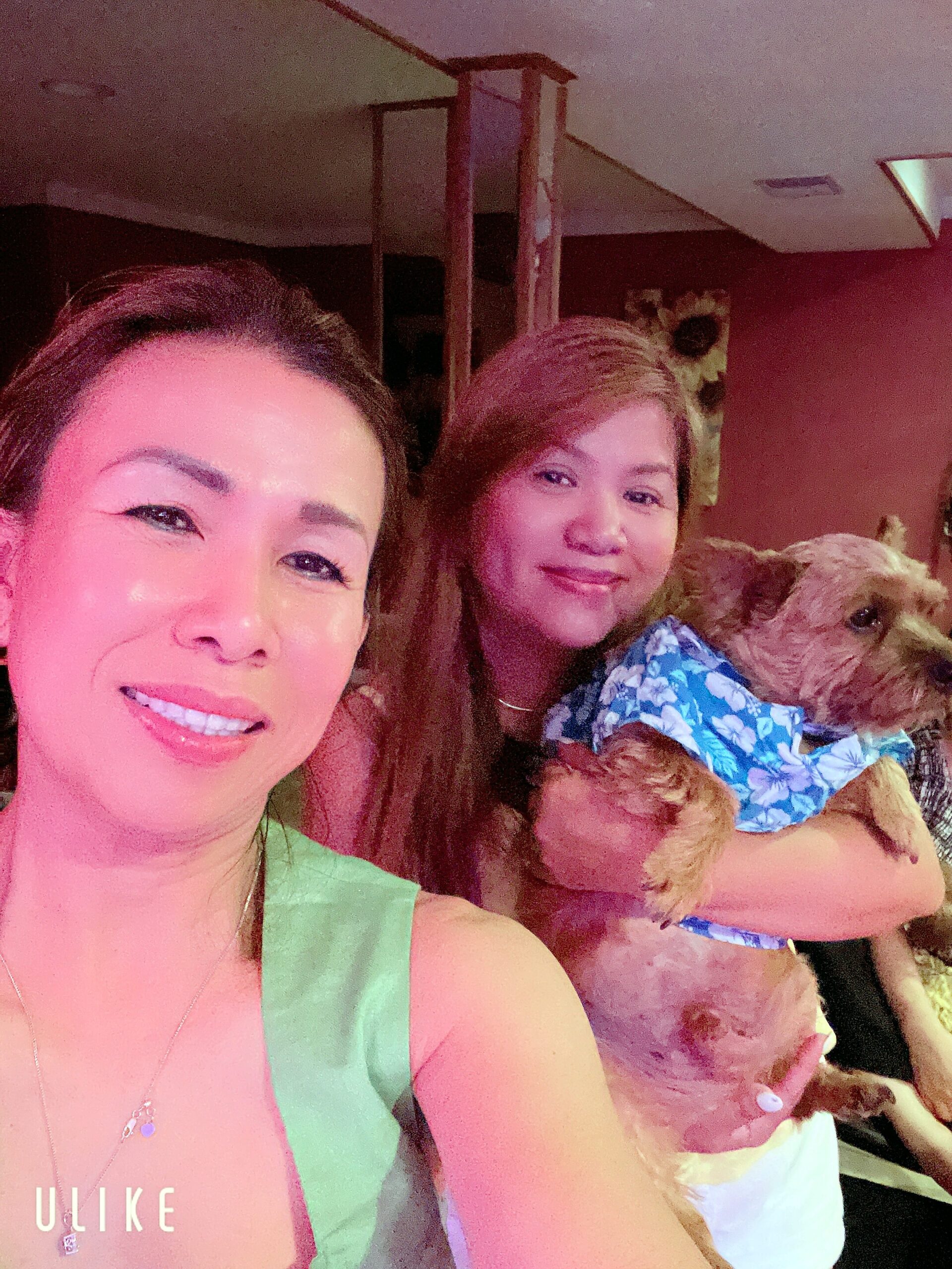 Close-up selfie of three people and a small dog in a car, all smiling at the camera.