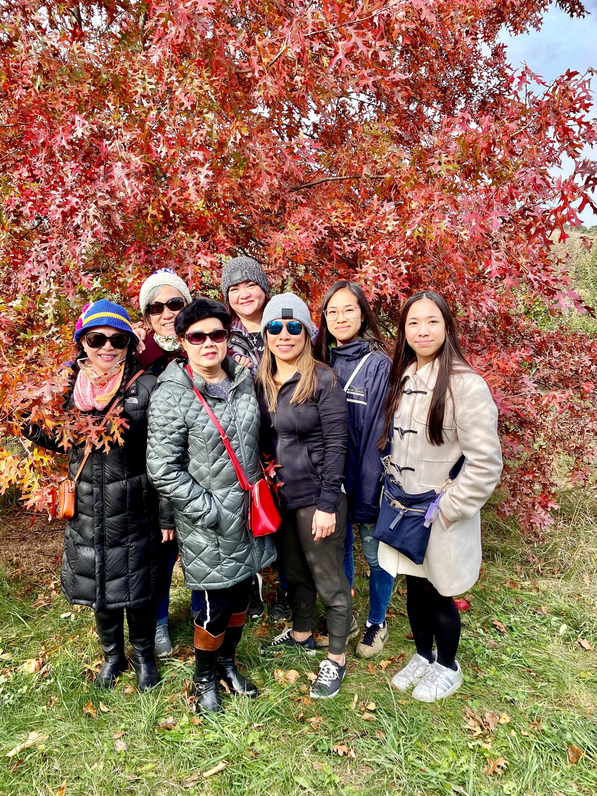 Six women in warm coats and hats posing together in front of a tree with bright red autumn leaves.