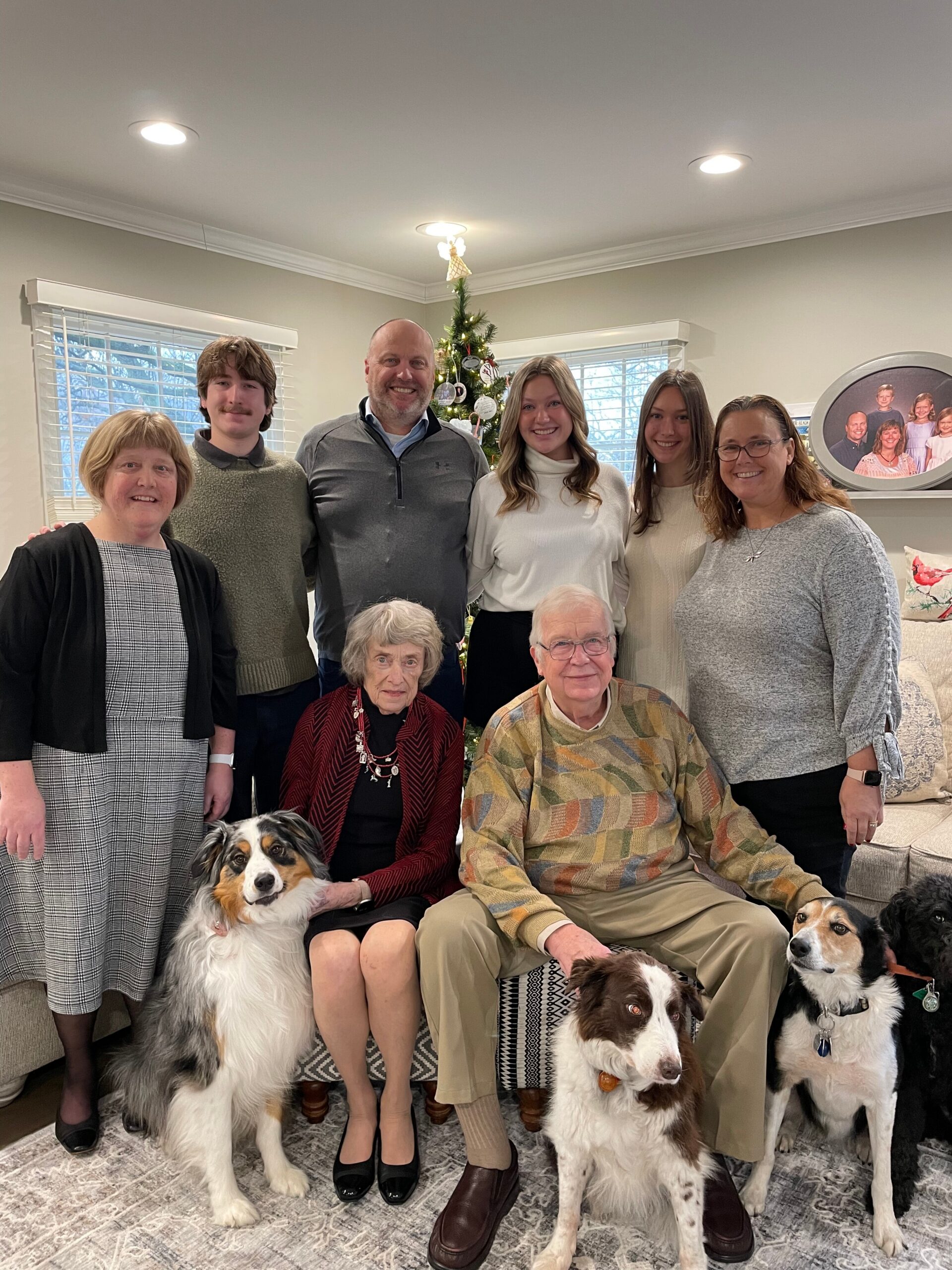 Group of six adults posing in a living room with a Christmas tree, two dogs at their feet, and a cozy holiday scene in the background.