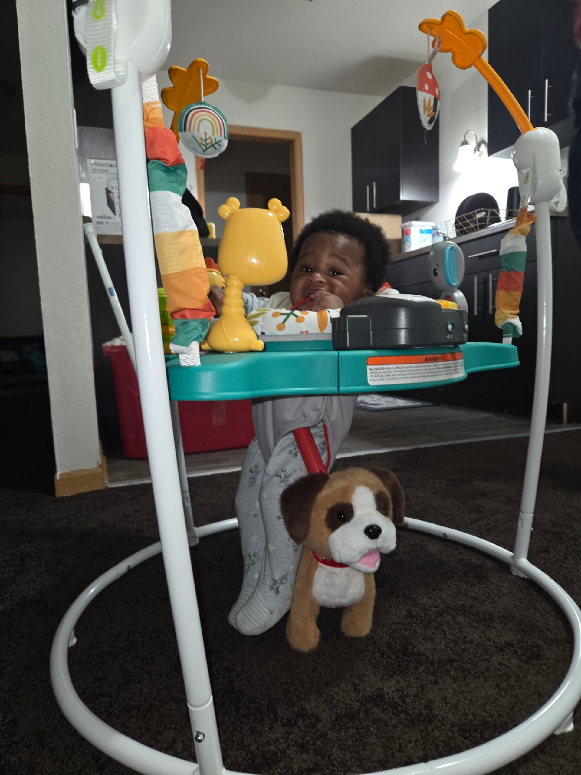 Baby in a doorway jumperoo reaching for toys with a plush dog nearby in a living room/kitchen area set with colorful decorations and a stuffed animal on the floor.