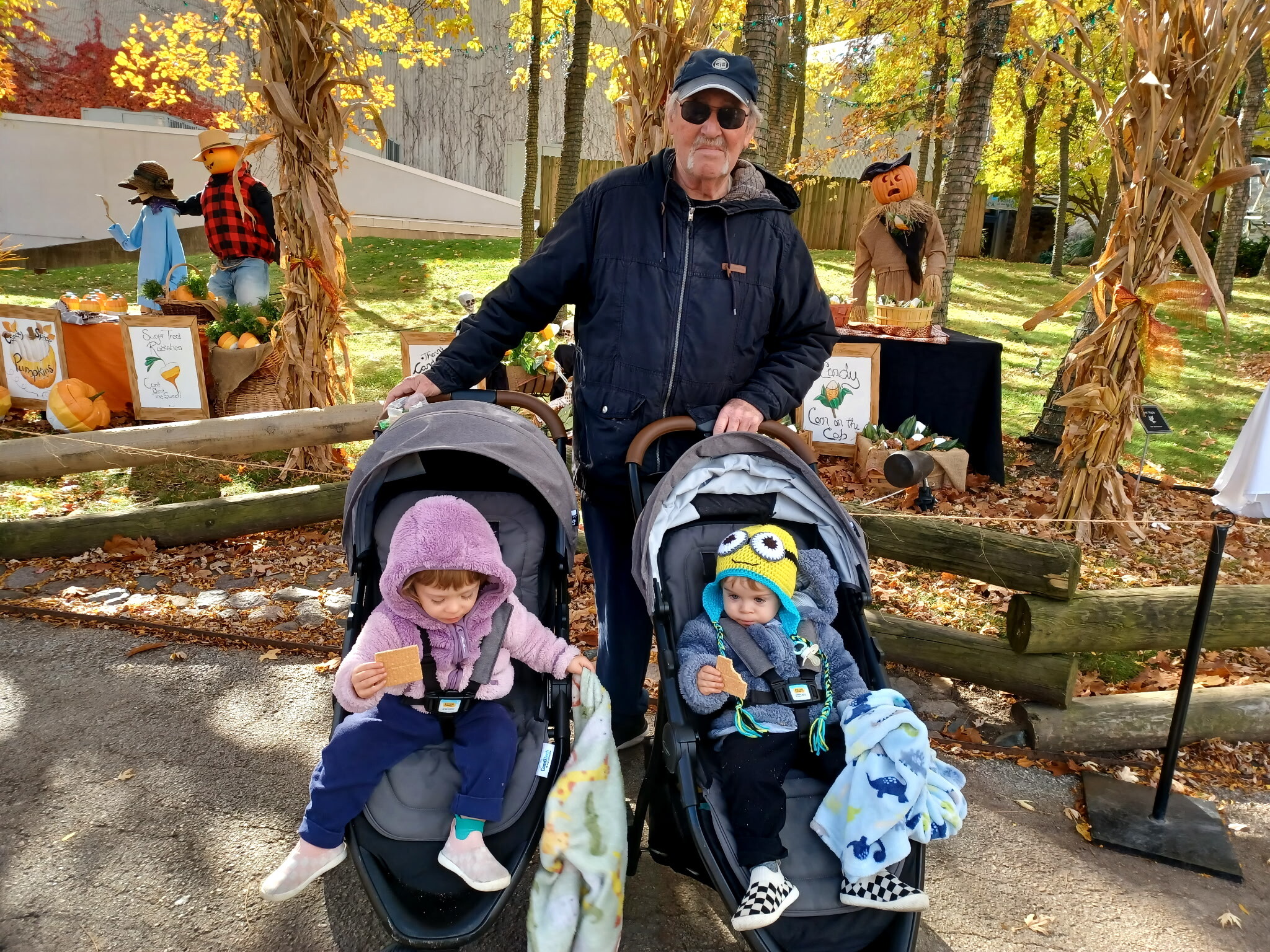 Man in a dark jacket and cap pushing a double stroller, two toddlers eating snacks amid autumn festival decorations (pumpkins, scarecrows) in the background.