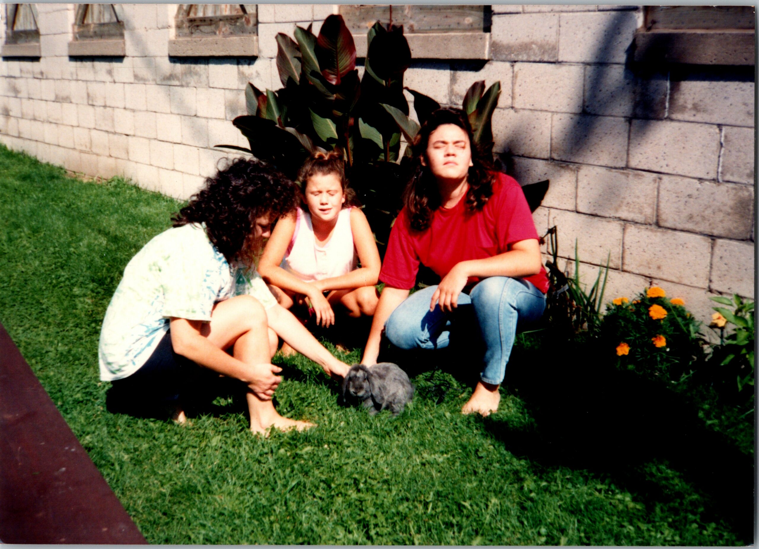 Three people sit on a grassy lawn in front of a gray stone wall, with a small gray dog at their feet and orange flowers on the right.