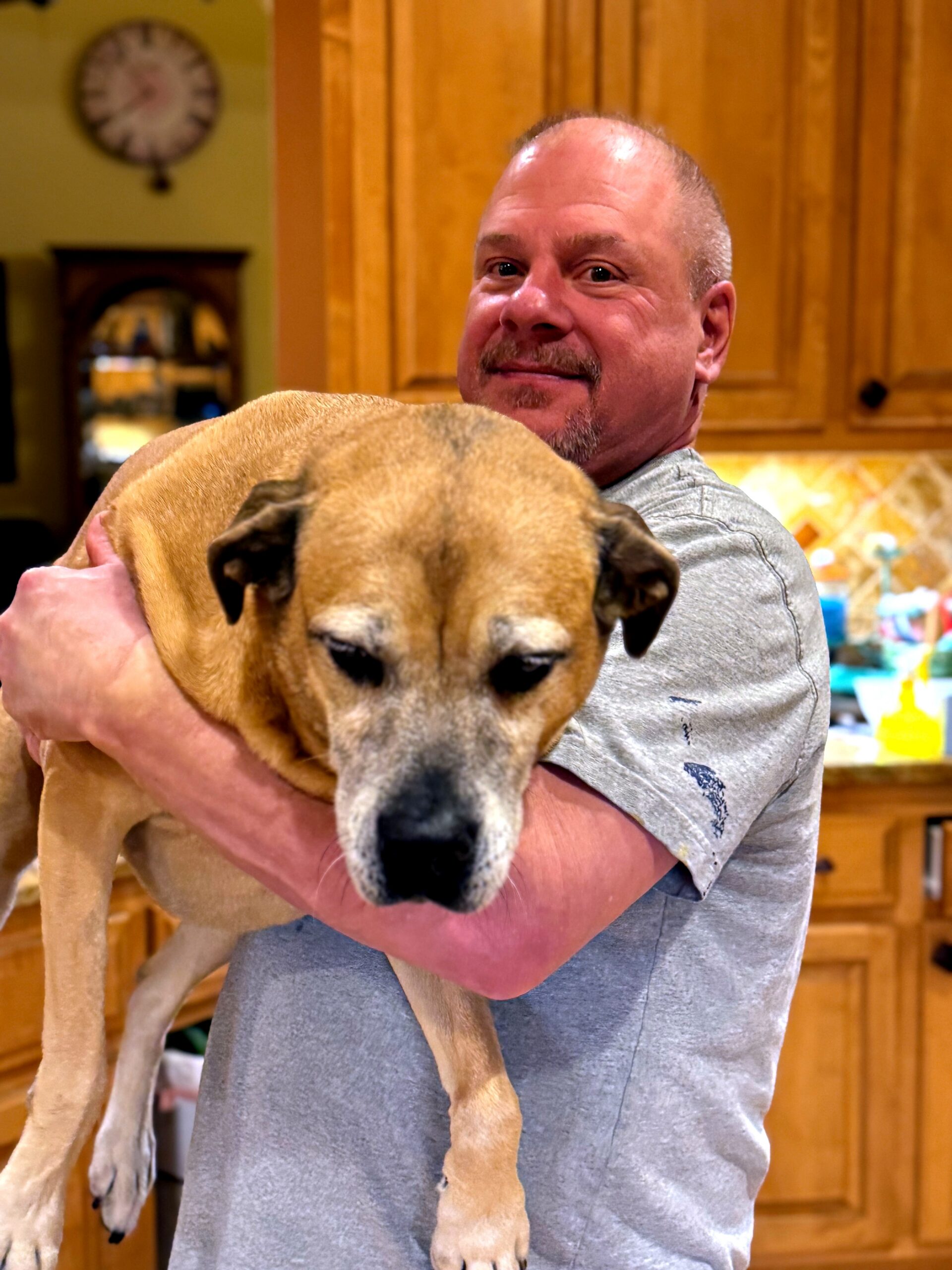 Man in a gray shirt hugging a large tan dog in a warm kitchen setting, both facing the camera with a smile.