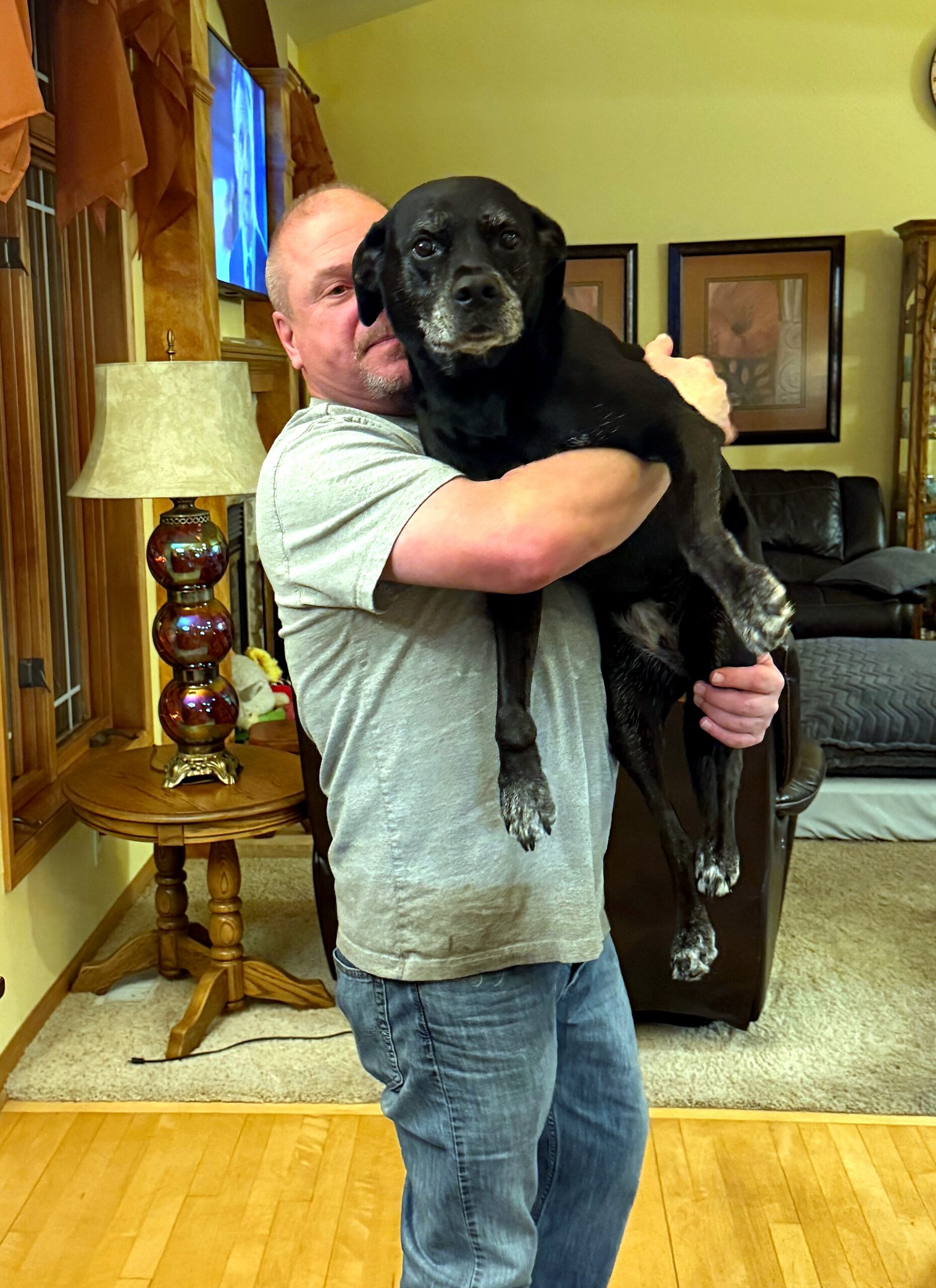 Man wearing a gray T-shirt holds a large black dog in a living room with furniture in the background.