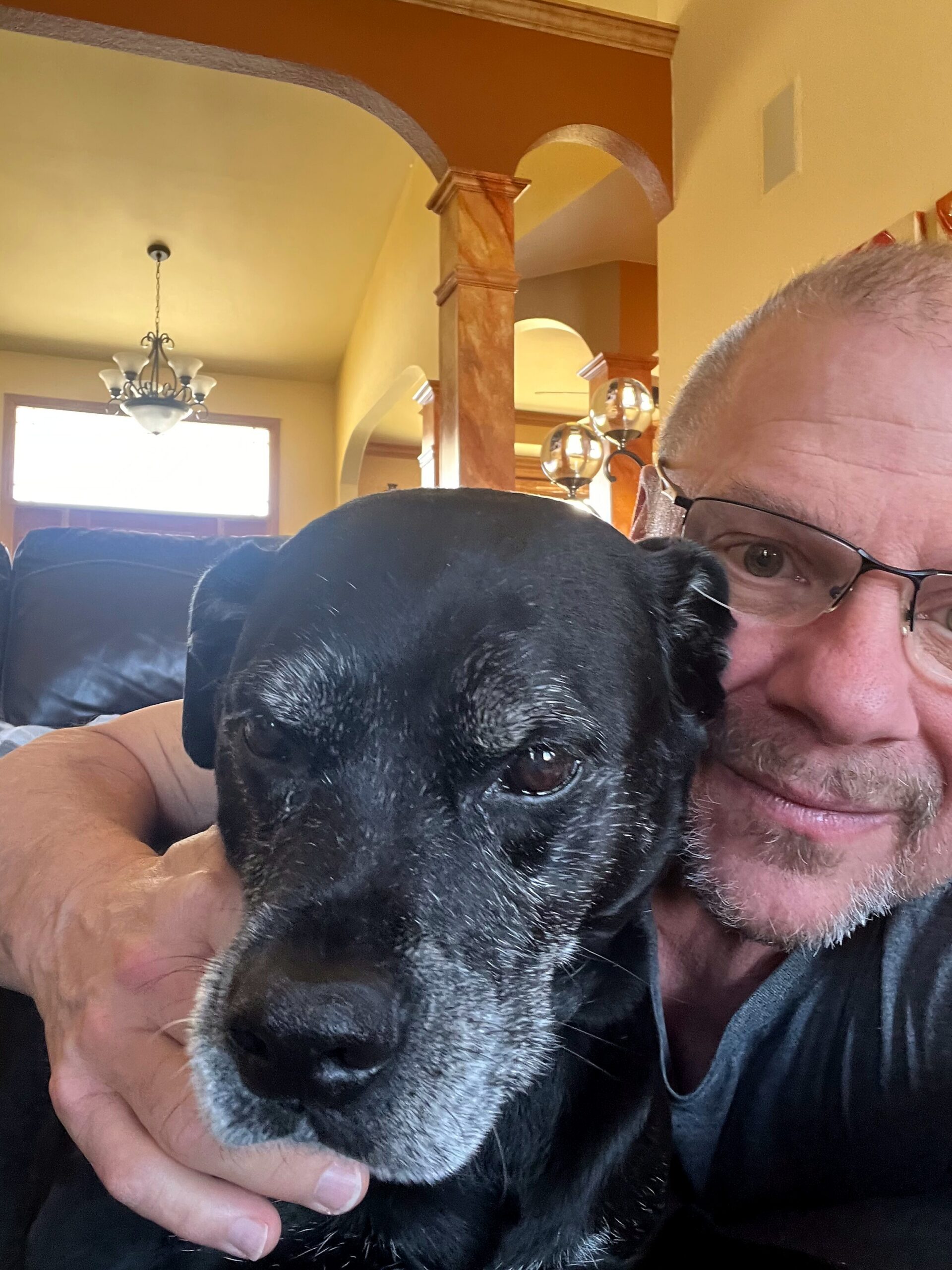 Man wearing glasses hugging a black dog on a couch indoors.