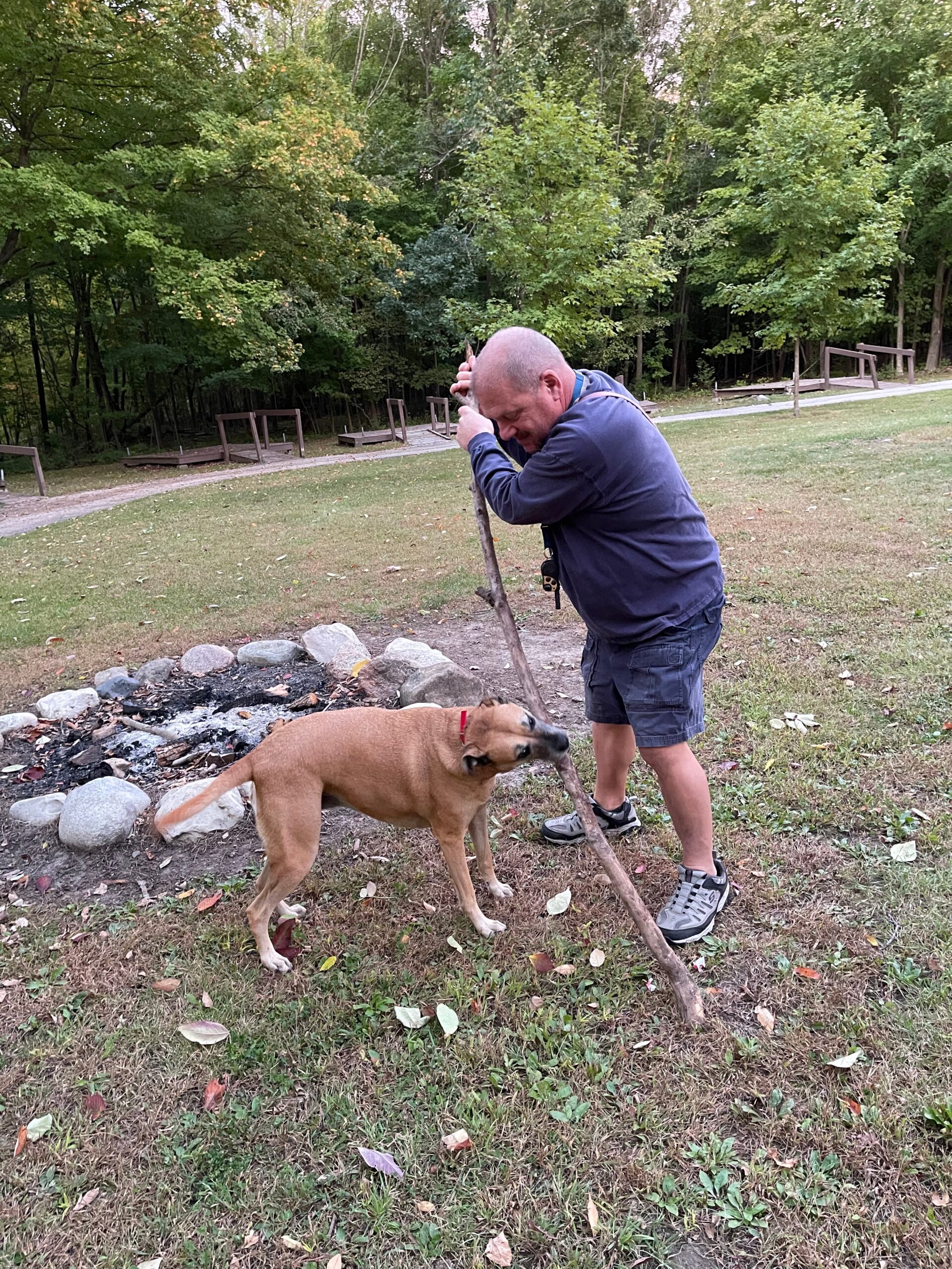 Man in a navy hoodie bending over a long stick near a dog by a campfire ring in a park clearing.