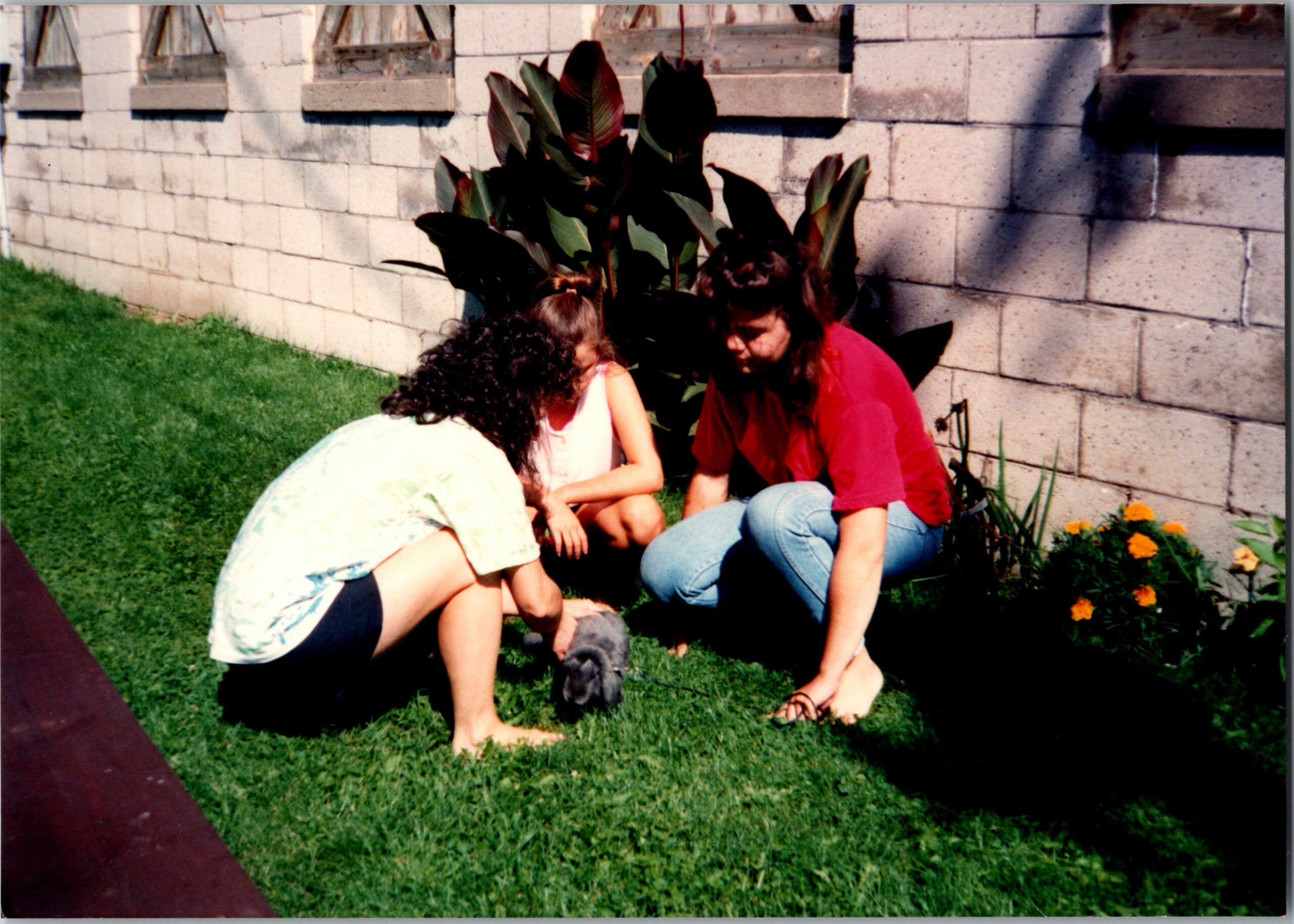 Three children kneeling on a lawn beside a stone wall, looking at a small gray puppy; yellow flowers in bloom nearby.