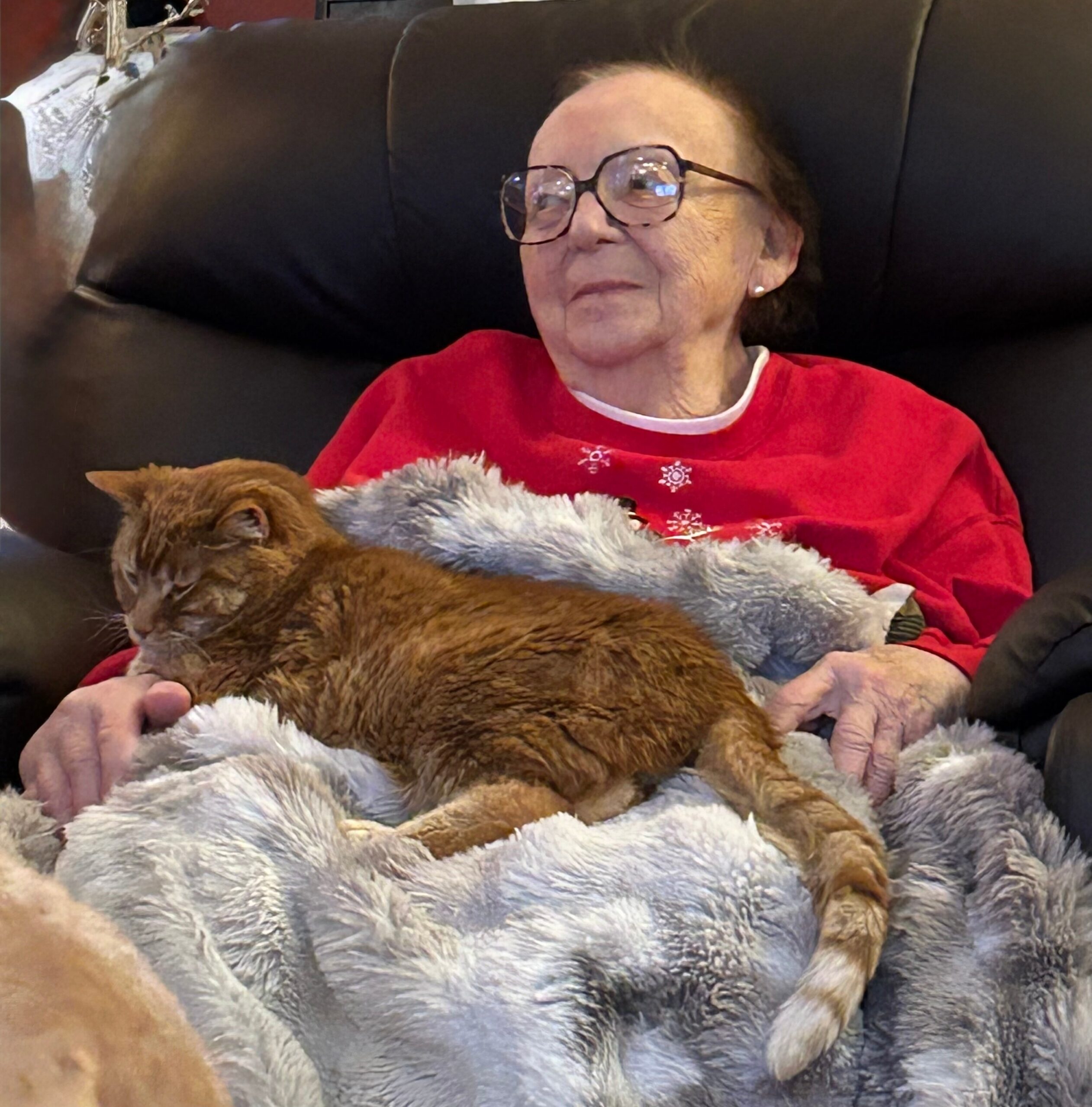 Older woman wearing a red top and glasses sitting on a dark sofa with a fluffy brown dog on her lap.