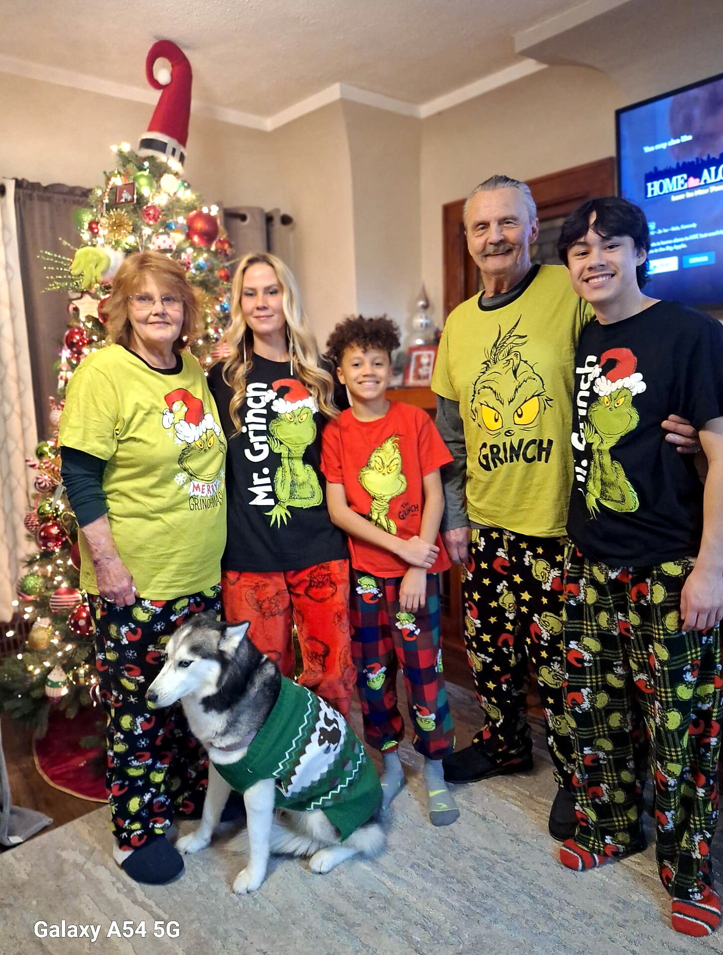 Family poses for a Christmas photo in front of a decorated tree; everyone wears Grinch-themed pajamas/shirts, including a dog in a green sweater.