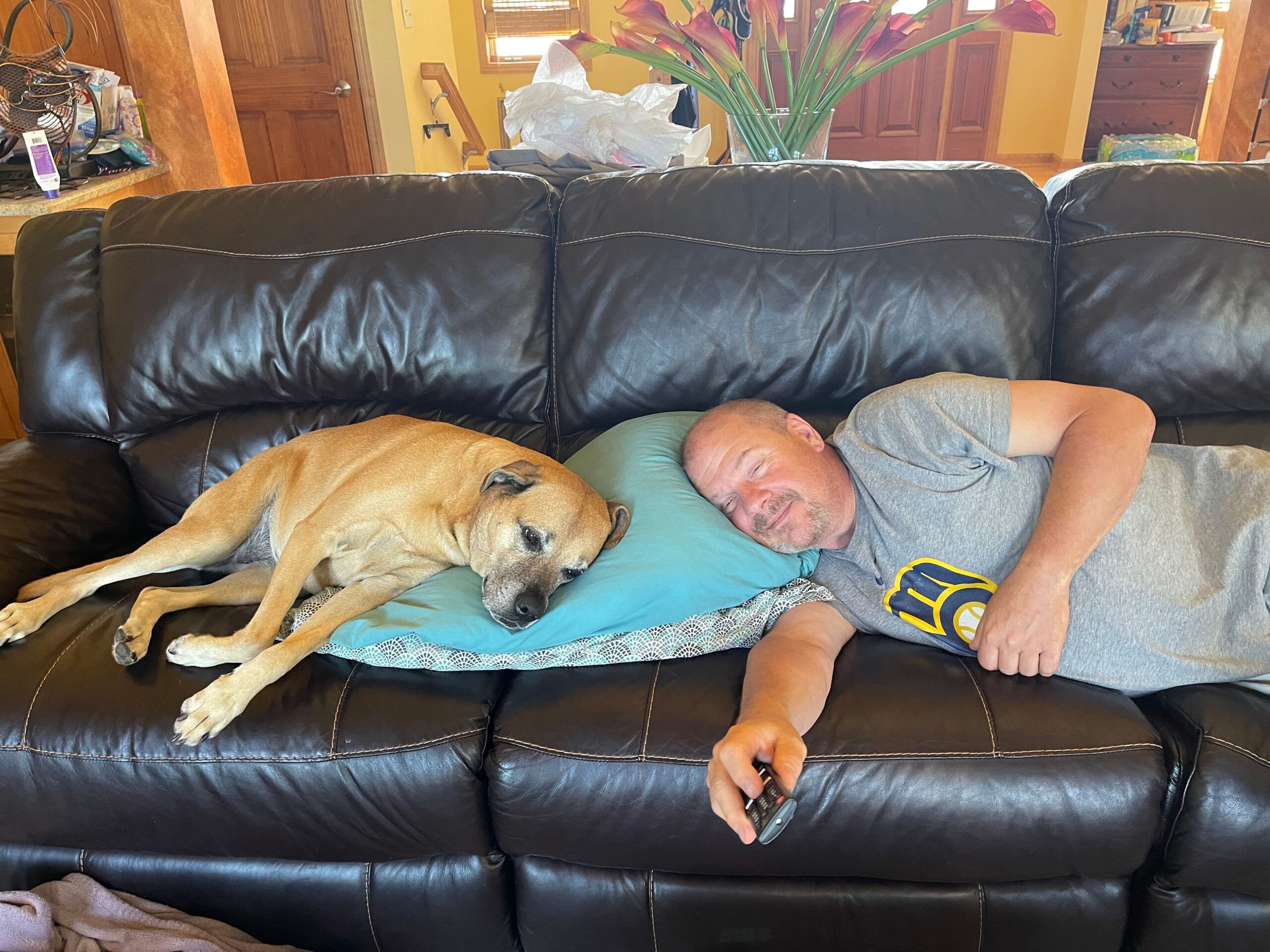 Man napping on a black leather couch with a tan dog resting beside him, holding a TV remote in one hand in the living room.