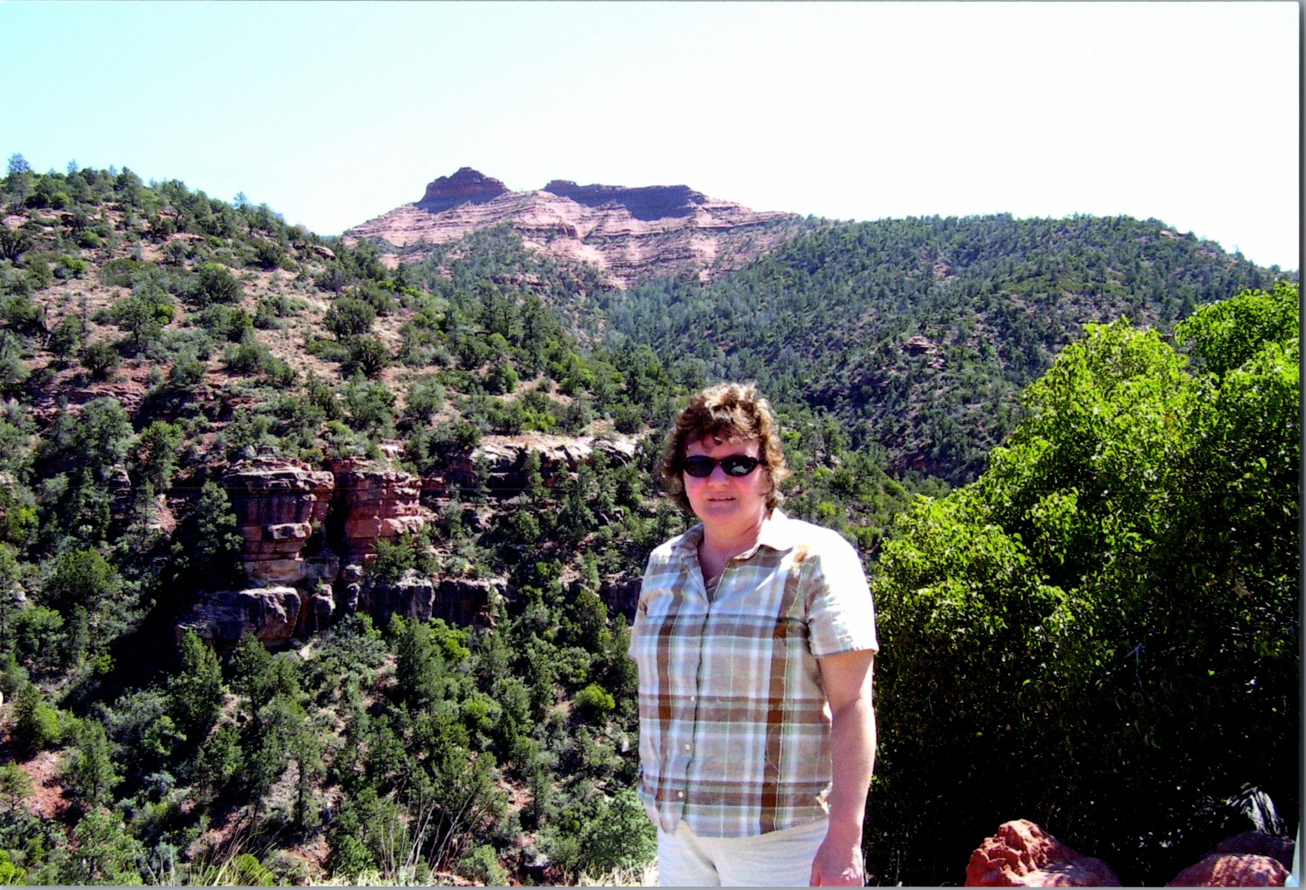 Person wearing sunglasses and a plaid shirt stands in a canyon with layered red rock formations and green trees in the background.