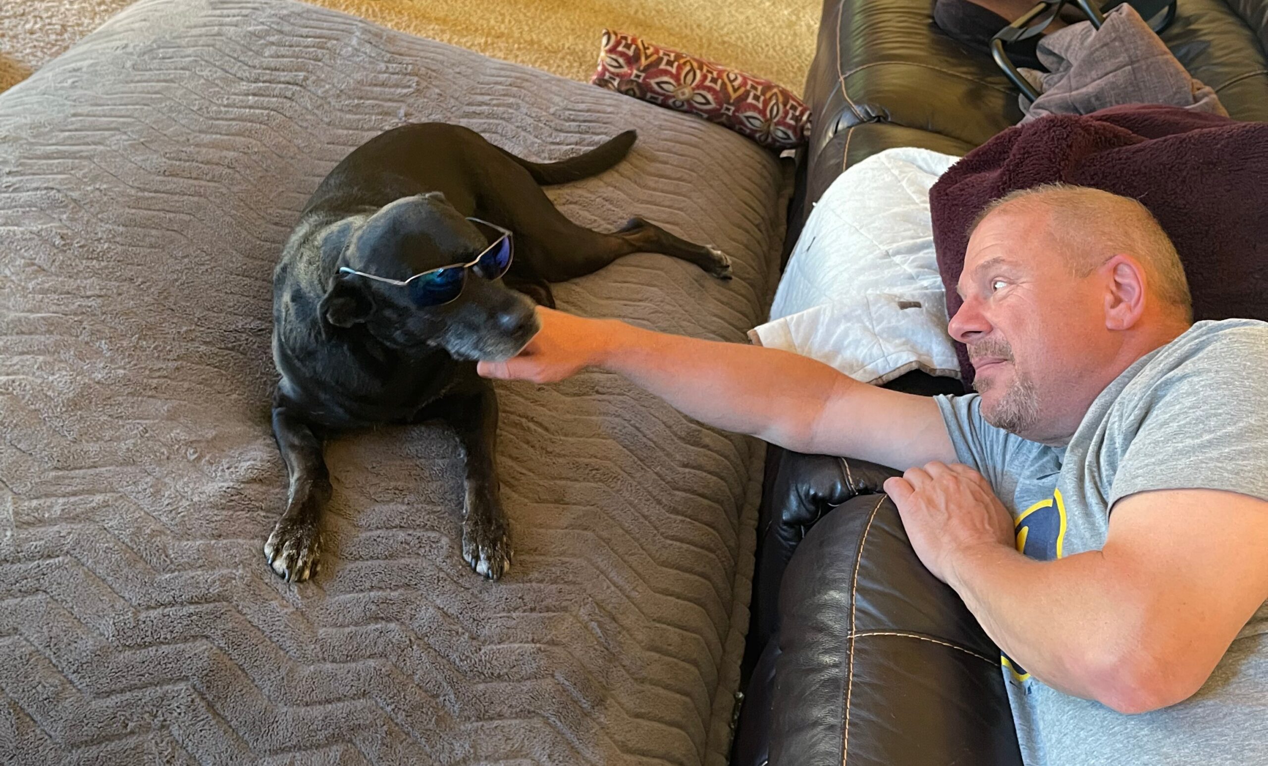 Man lying on a leather couch reaching to a black dog wearing blue sunglasses on a beige quilted blanket.