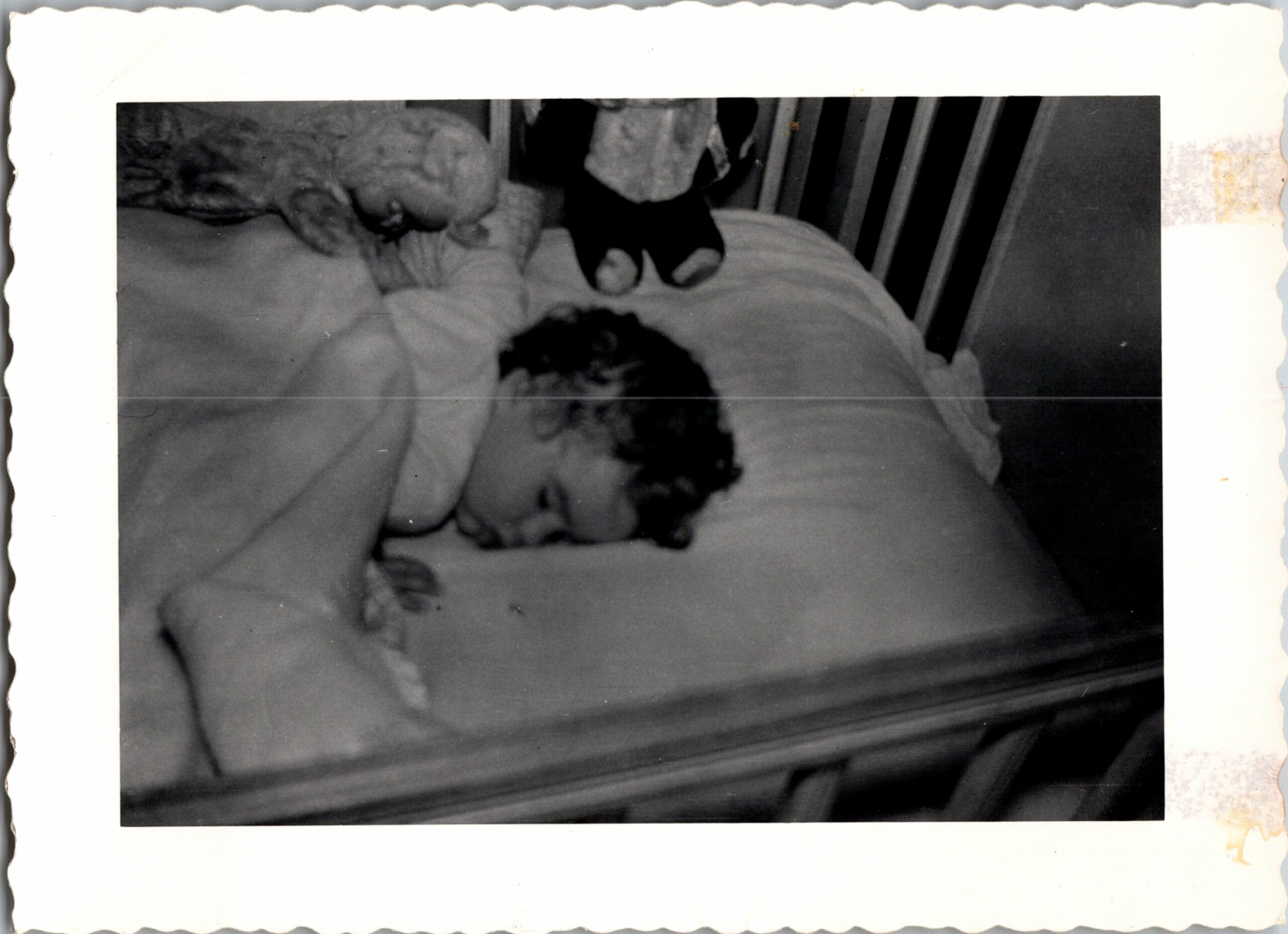 Small dark-furred cat curled up and sleeping on a bed covered with blankets.