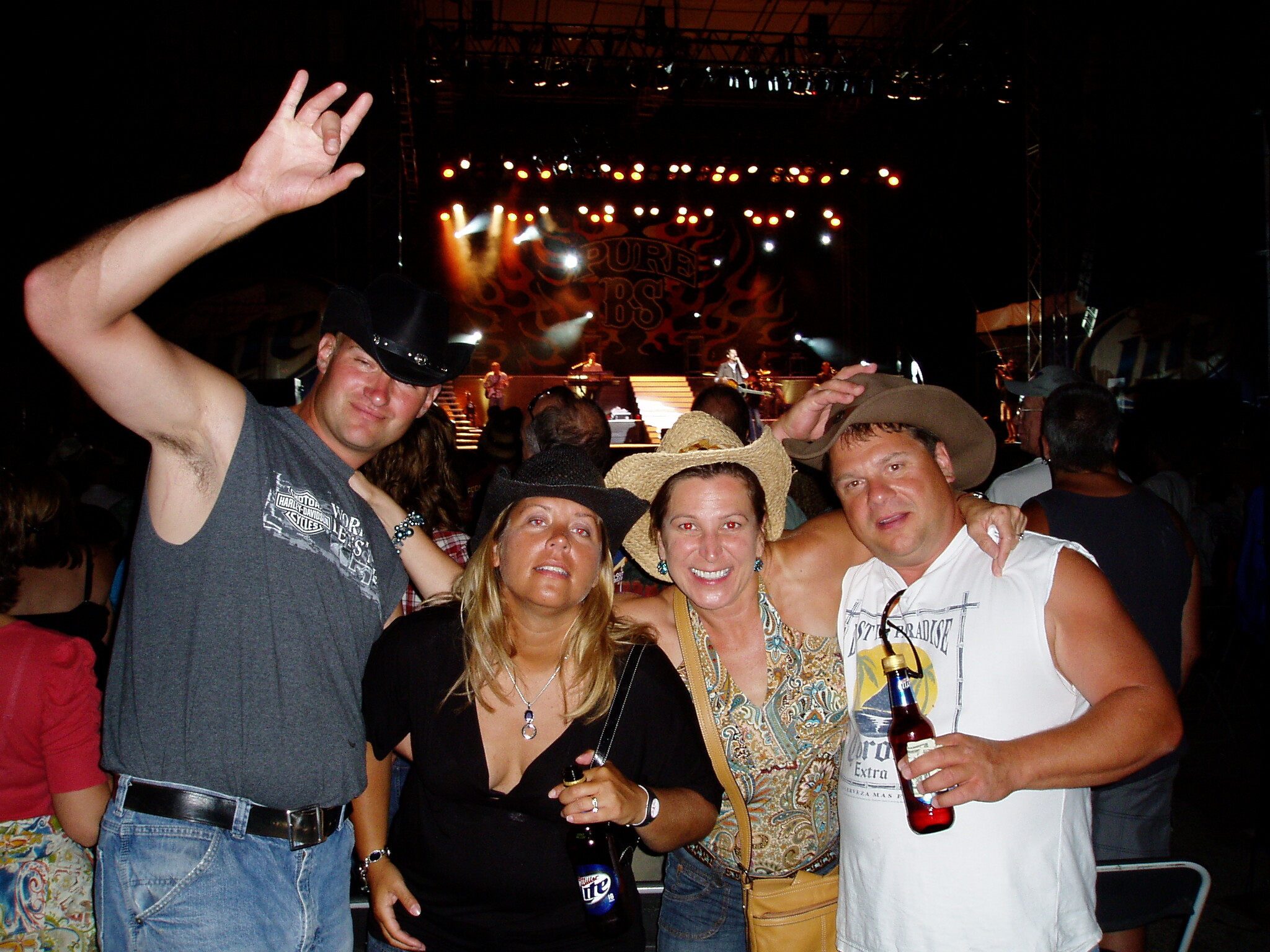 Crowd at a nighttime concert with a lit stage in the background; people smile and pose for a photo.