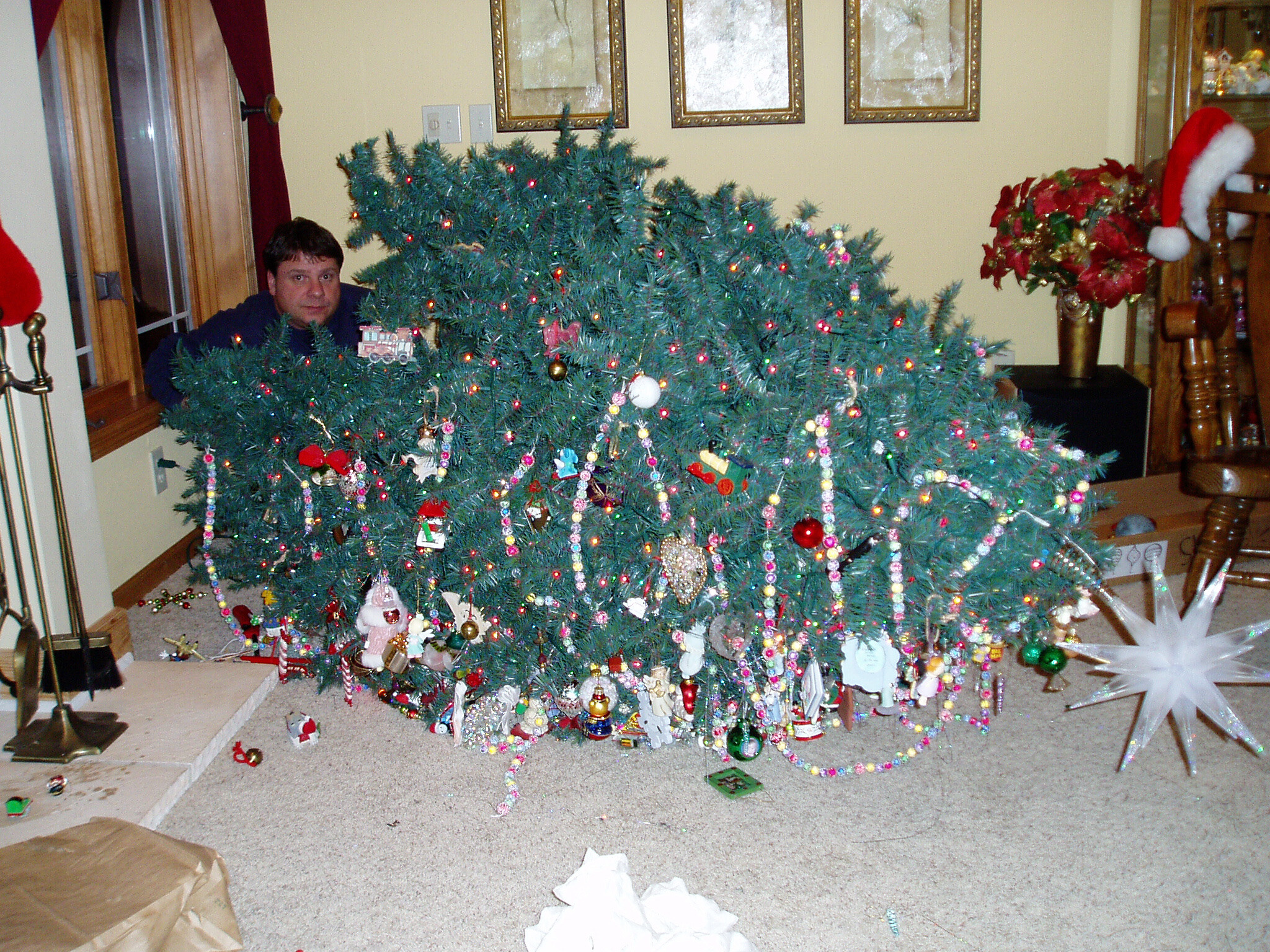 Man peeking from behind a large, decorated Christmas tree in a living room, with garlands and ornaments hanging from the tree and decorations on the floor nearby.